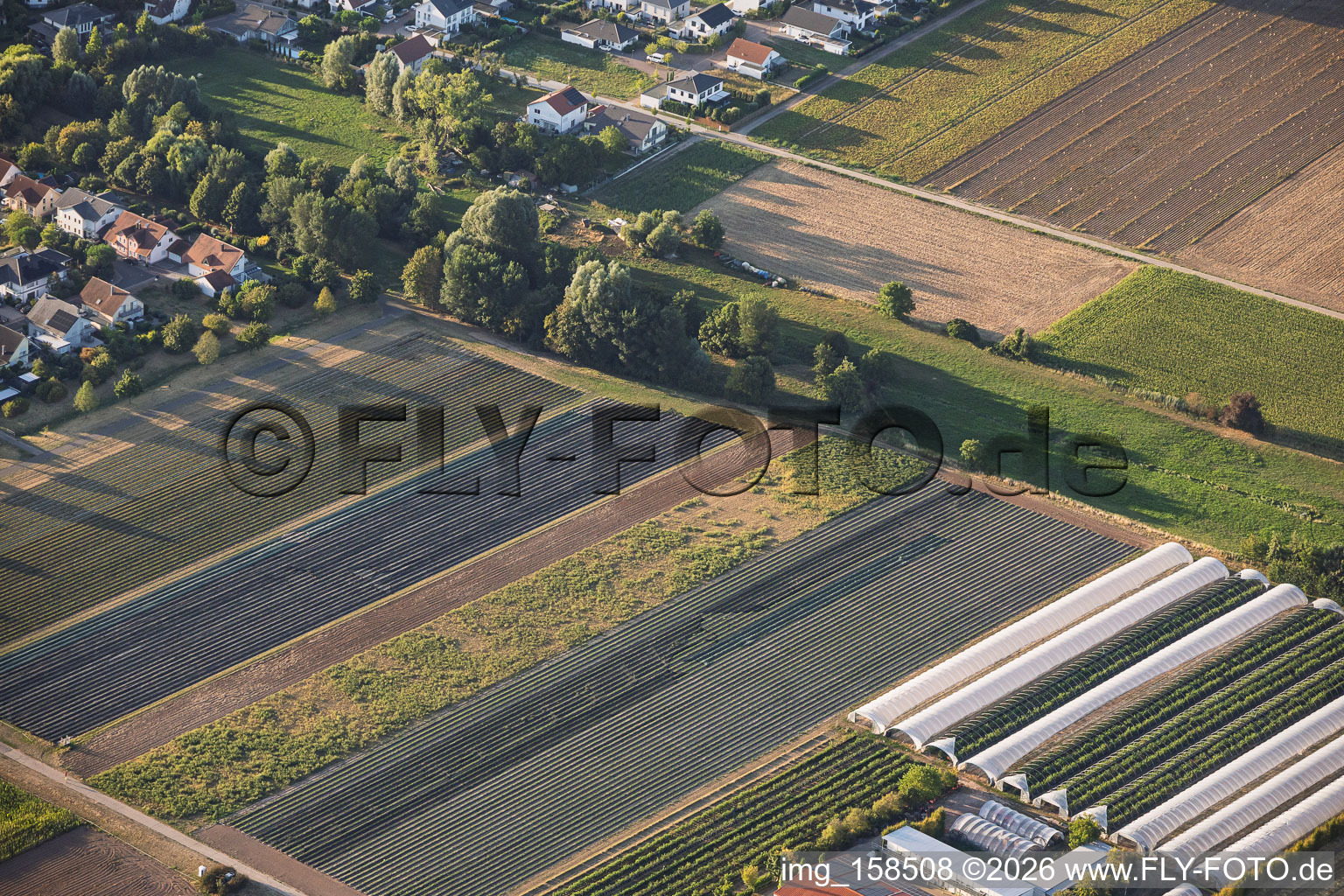 Steegmüller Strawberry Gardens in Offenbach an der Queich in the state Rhineland-Palatinate, Germany