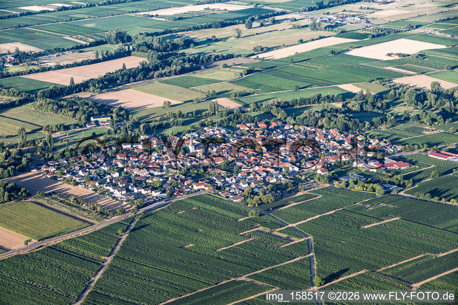 From the northeast in Venningen in the state Rhineland-Palatinate, Germany