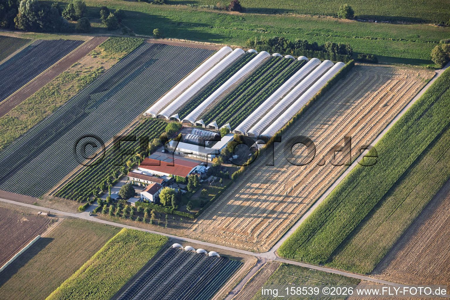 Steegmüller Strawberry Gardens in Offenbach an der Queich in the state Rhineland-Palatinate, Germany