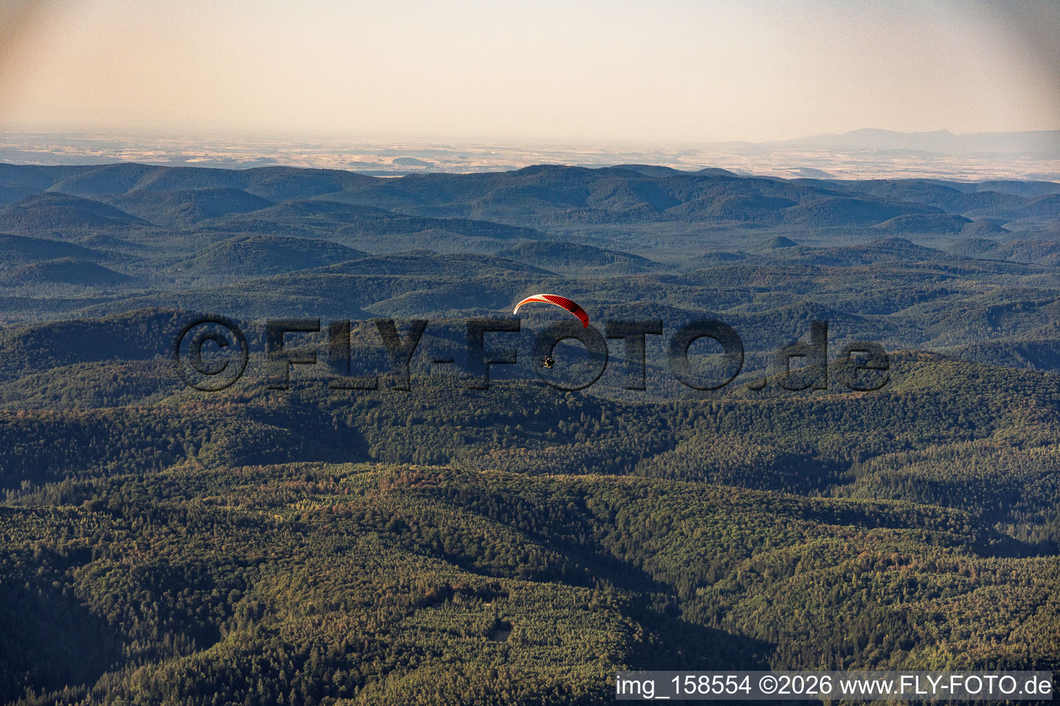 Paraglider over the Palatinate Forest in the district Glashütte in Lemberg in the state Rhineland-Palatinate, Germany