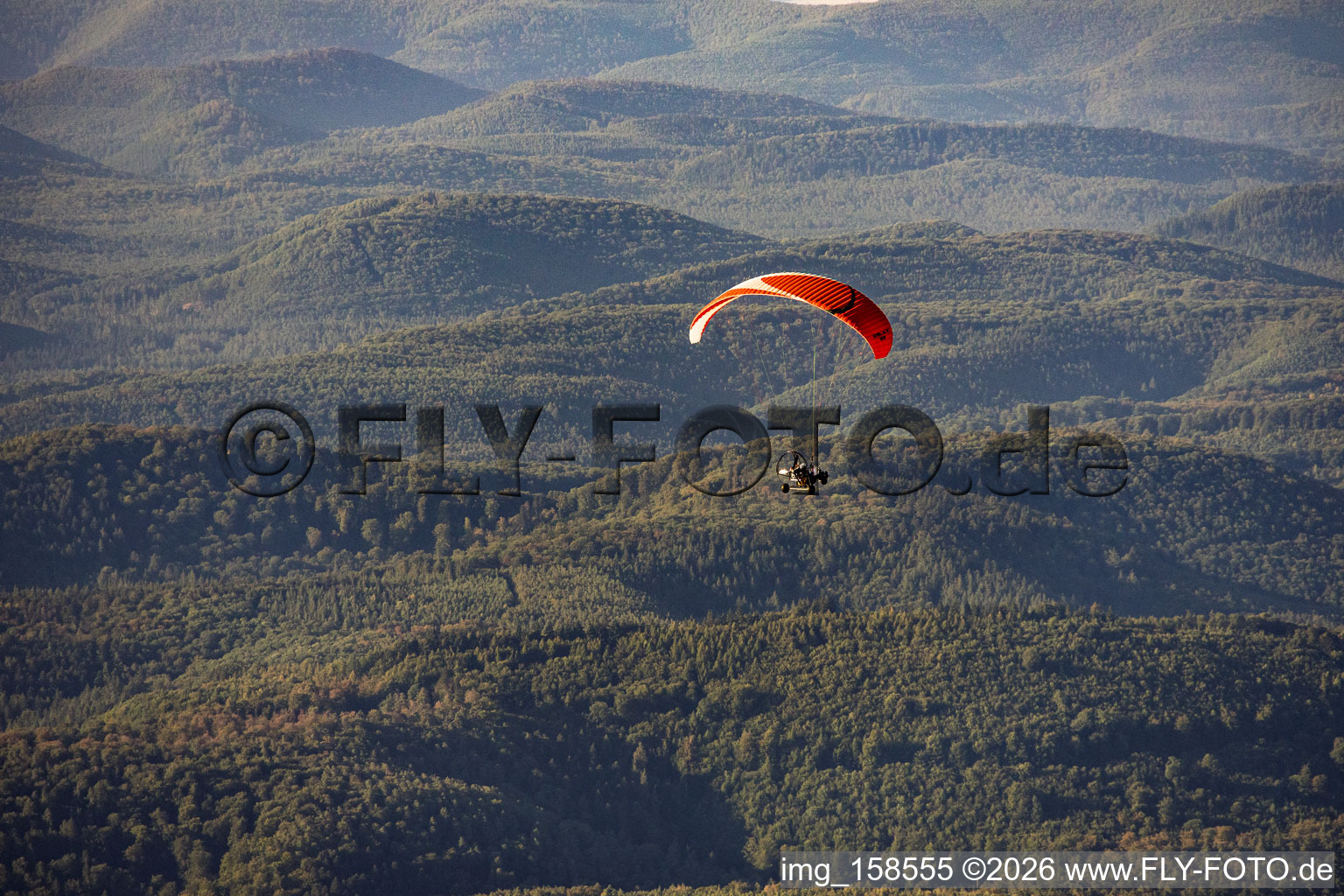 Paraglider over the Palatinate Forest in the district Glashütte in Lemberg in the state Rhineland-Palatinate, Germany
