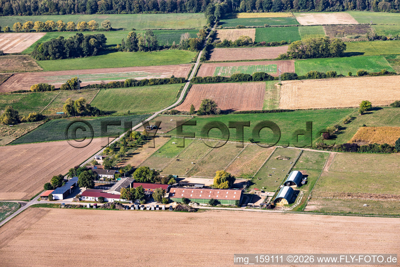 Römerhof horse stud farm in the district Richen in Groß-Umstadt in the state Hesse, Germany