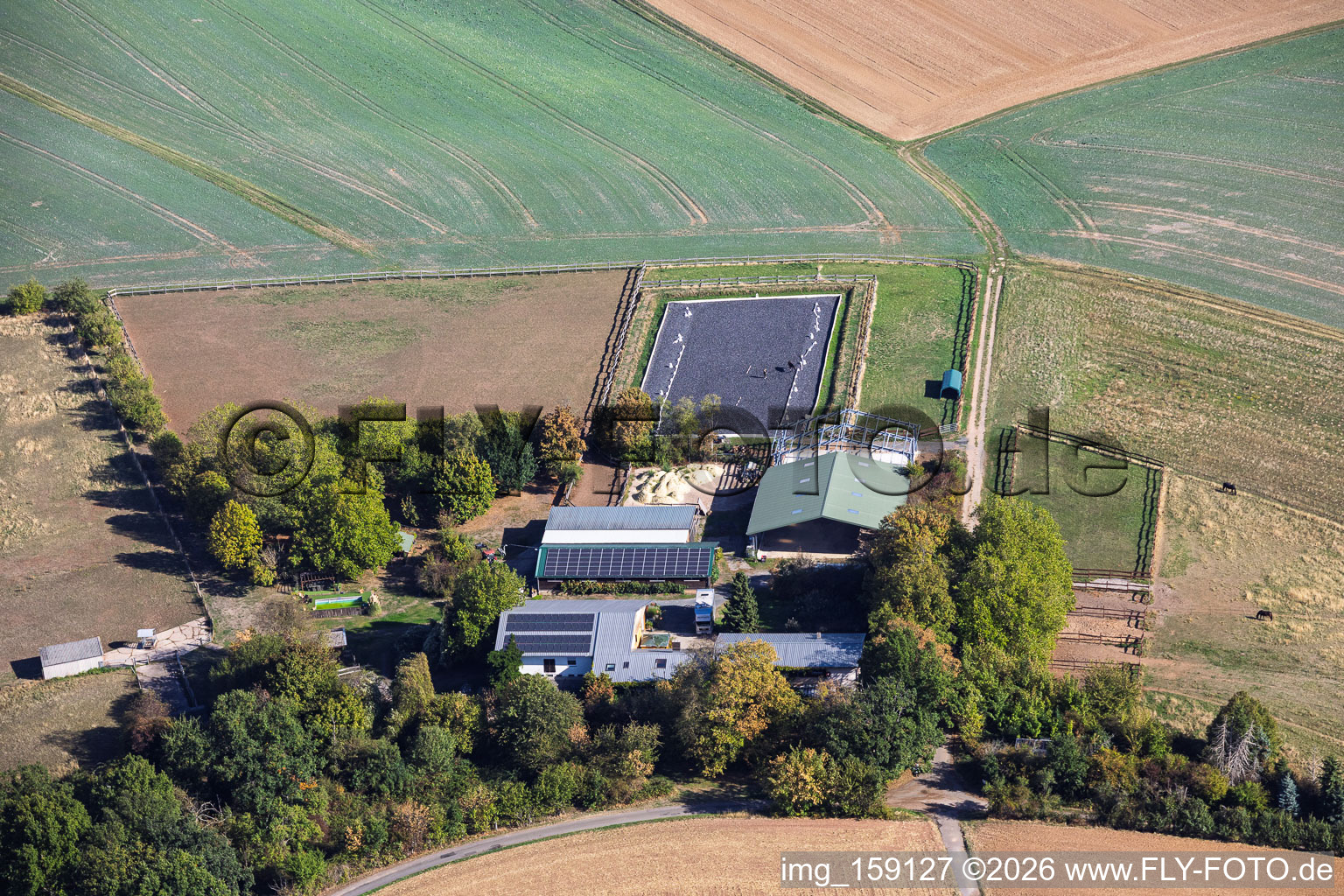 Heil Horse Farms in the district Klein-Umstadt in Groß-Umstadt in the state Hesse, Germany