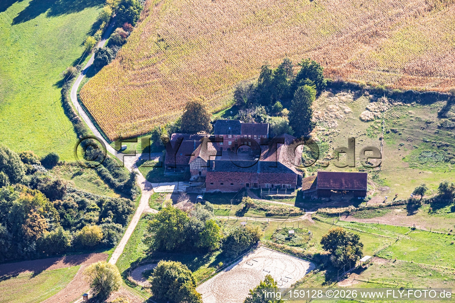 Horse farm on Elterweg in the district Klein-Umstadt in Groß-Umstadt in the state Hesse, Germany