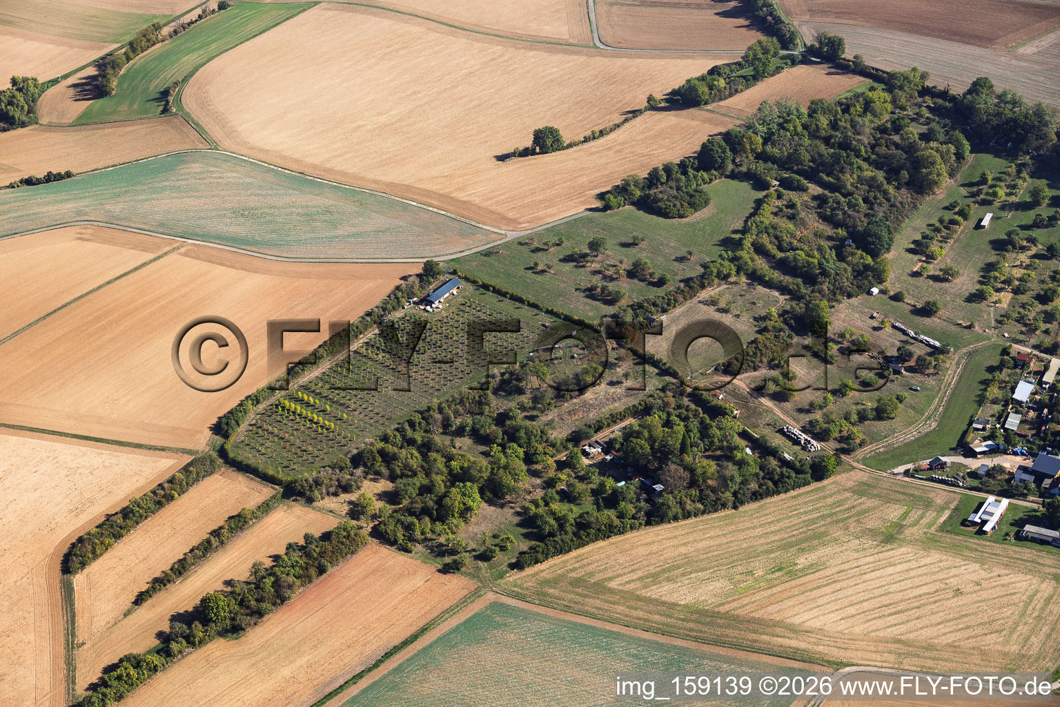 Tree Nursery at the Old Waterworks Mosbach in the district Mosbach in Schaafheim in the state Hesse, Germany