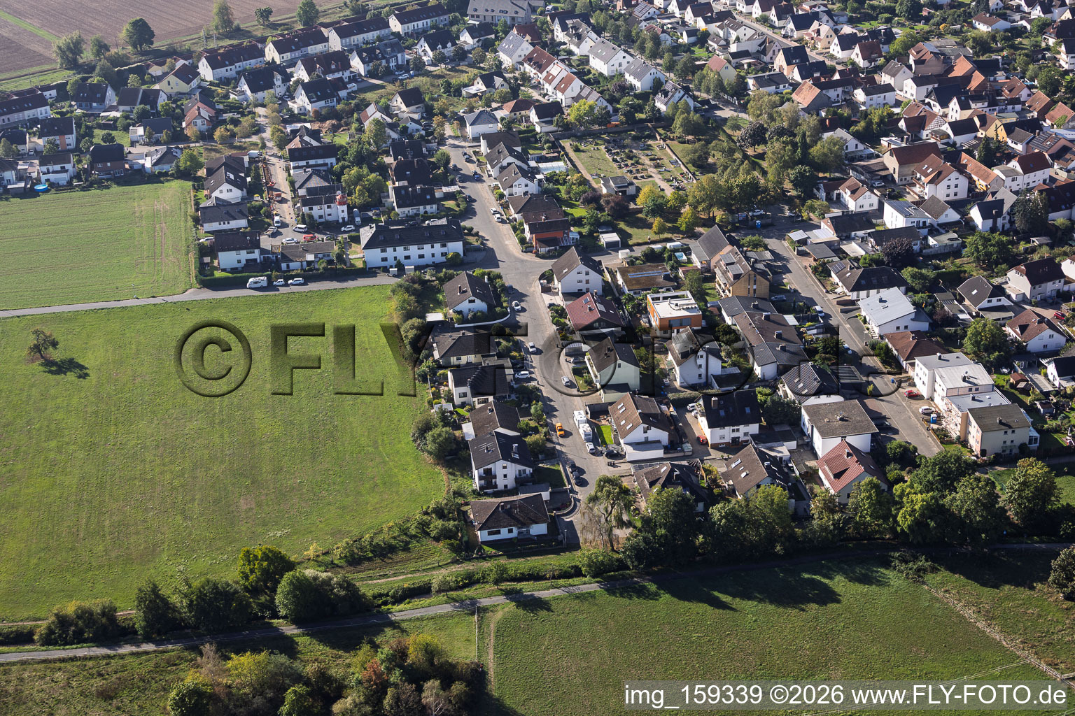 Landrat-Pfeifer-Straße in the district Sickenhofen in Babenhausen in the state Hesse, Germany