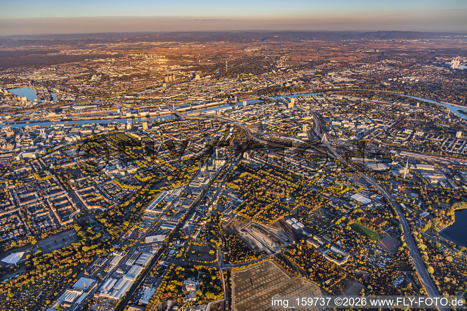 City overview from the west, spanning from Hohenzollernstraße and the A650 to the Rhine in the district Hemshof in Ludwigshafen in the state Rhineland-Palatinate, Germany