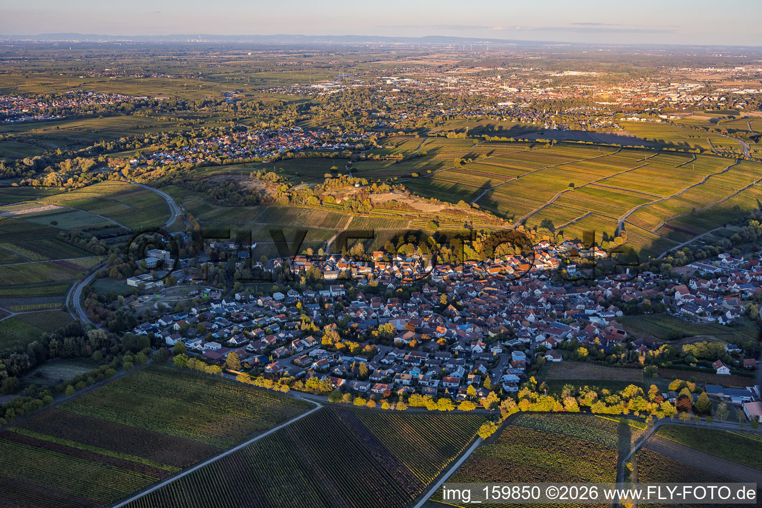 View of a wine-growing village from the west in the evening, nestled among vineyards near the Kleine Kalmit in Ilbesheim bei Landau in the state Rhineland-Palatinate, Germany