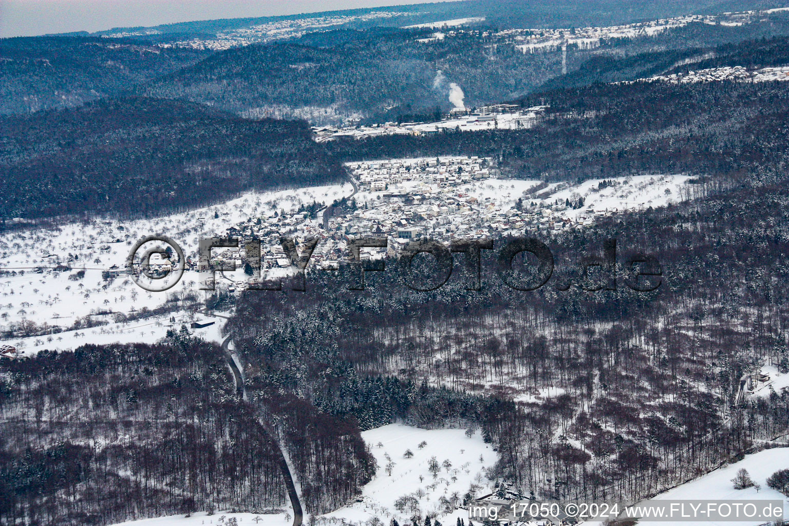 In the snow in the district Arnbach in Neuenbürg in the state Baden-Wuerttemberg, Germany