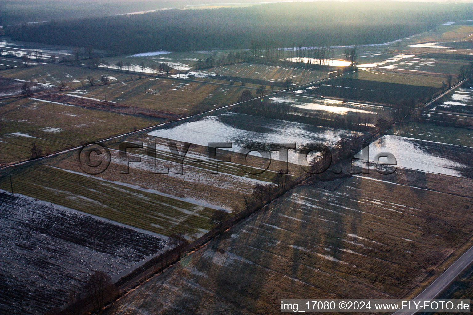 Otterbachtal biotope frozen in Kandel in the state Rhineland-Palatinate, Germany