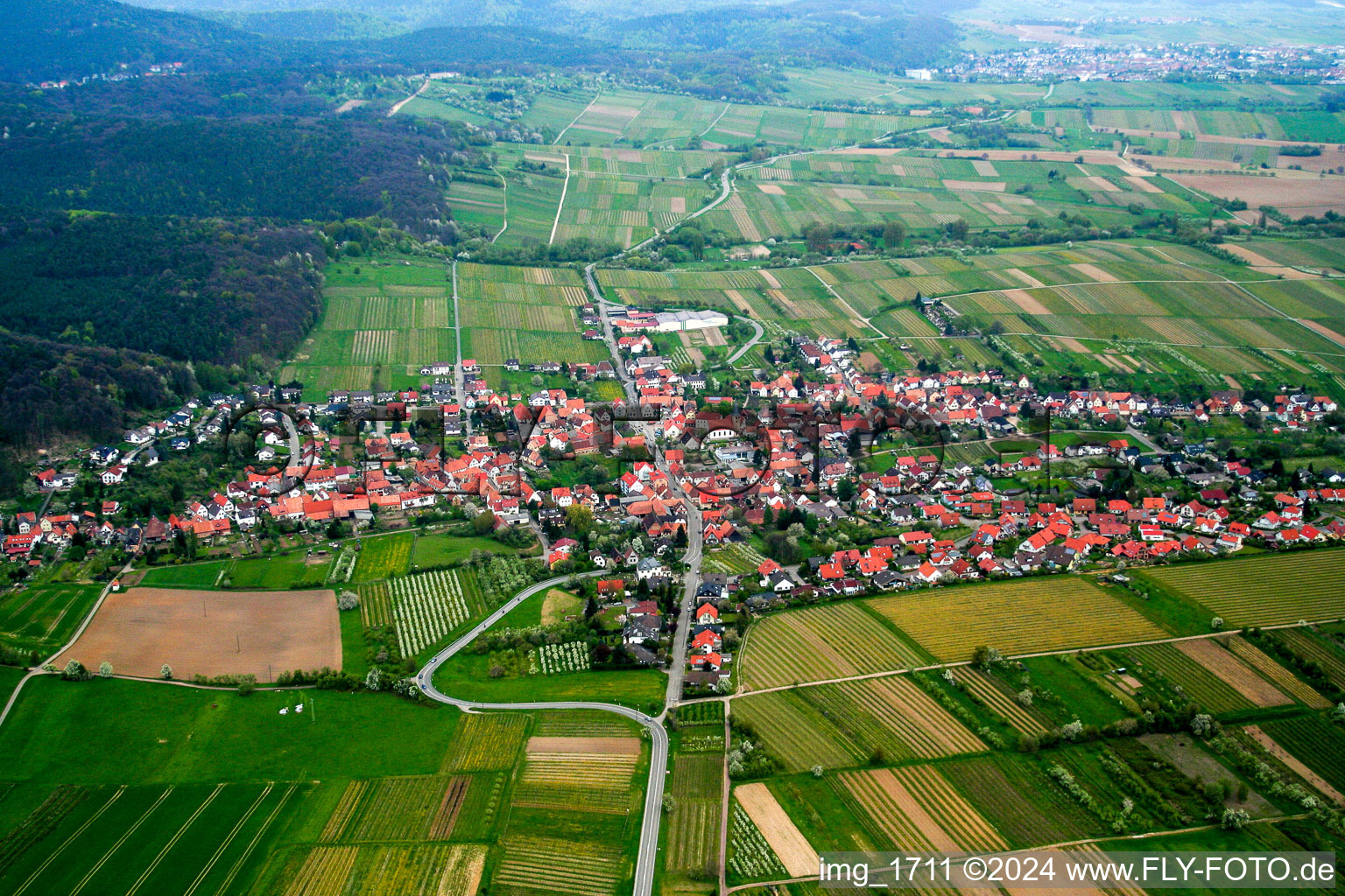 Oberotterbach in the state Rhineland-Palatinate, Germany seen from above