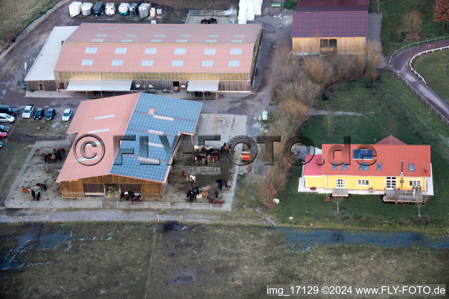 Icelandic horse stud Bienwald in Freckenfeld in the state Rhineland-Palatinate, Germany