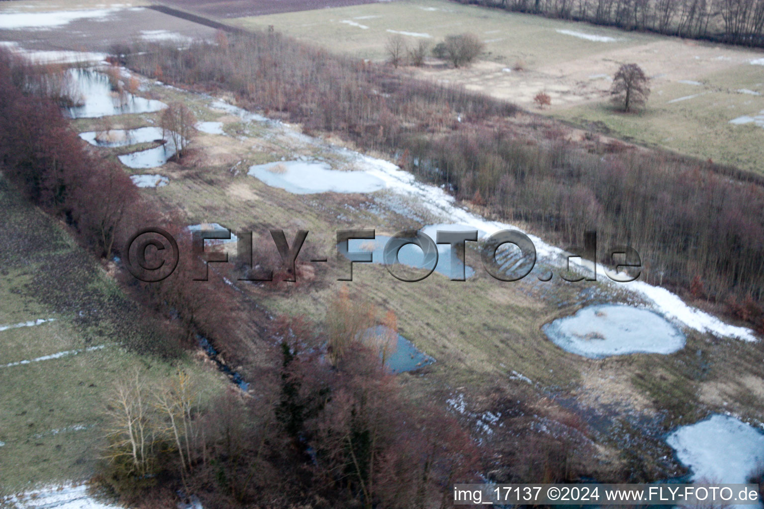 Aerial view of Wintry snowy Ponds and Morast- water surface in a pond landscape in Minfeld in the state Rhineland-Palatinate