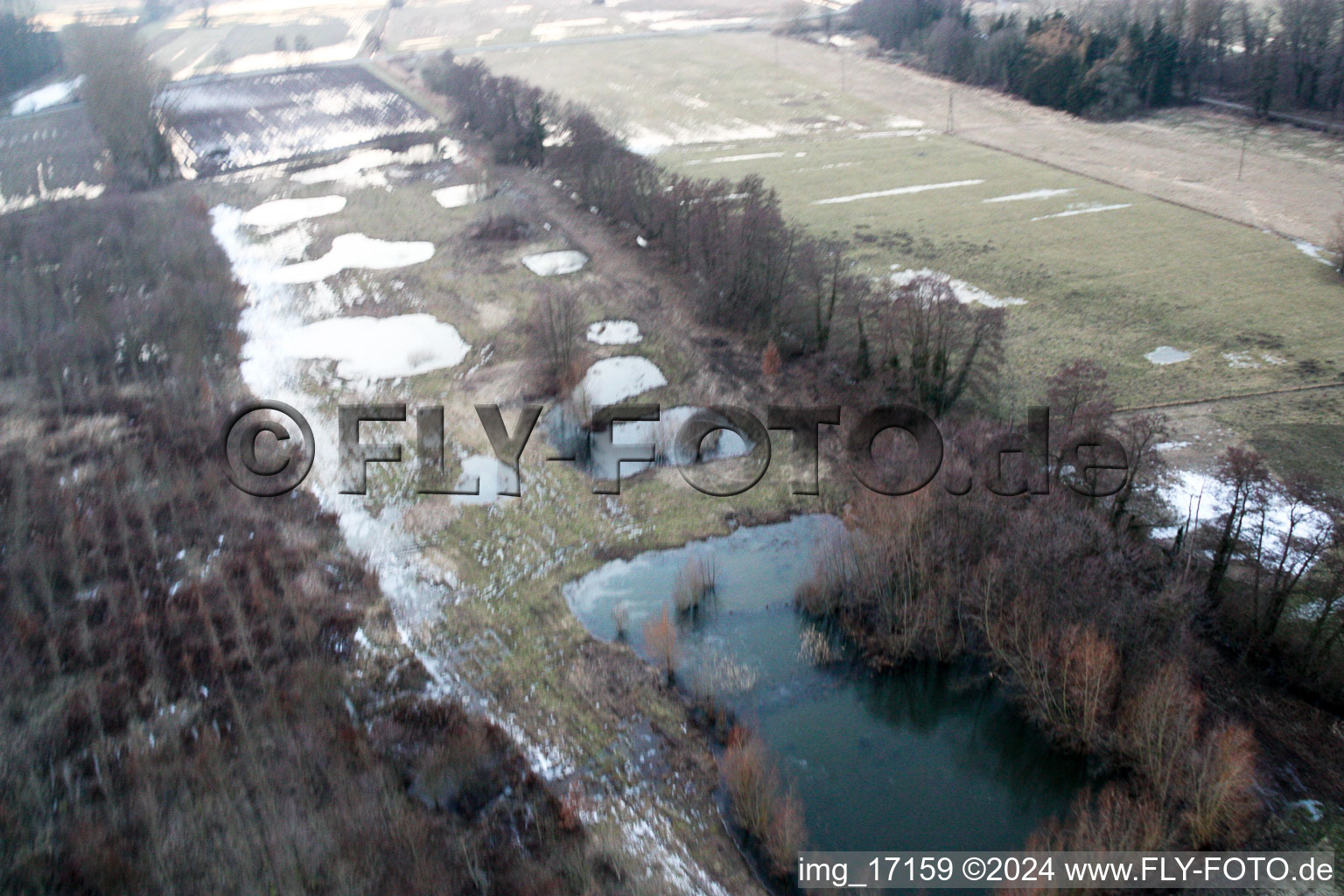 Biotop in Minfeld in the state Rhineland-Palatinate, Germany