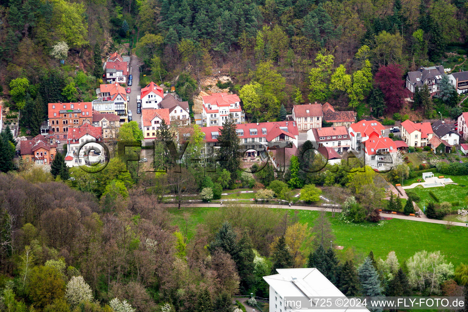 Luxury villa in residential area of single-family settlement Kurtalstrasse in Bad Bergzabern in the state Rhineland-Palatinate