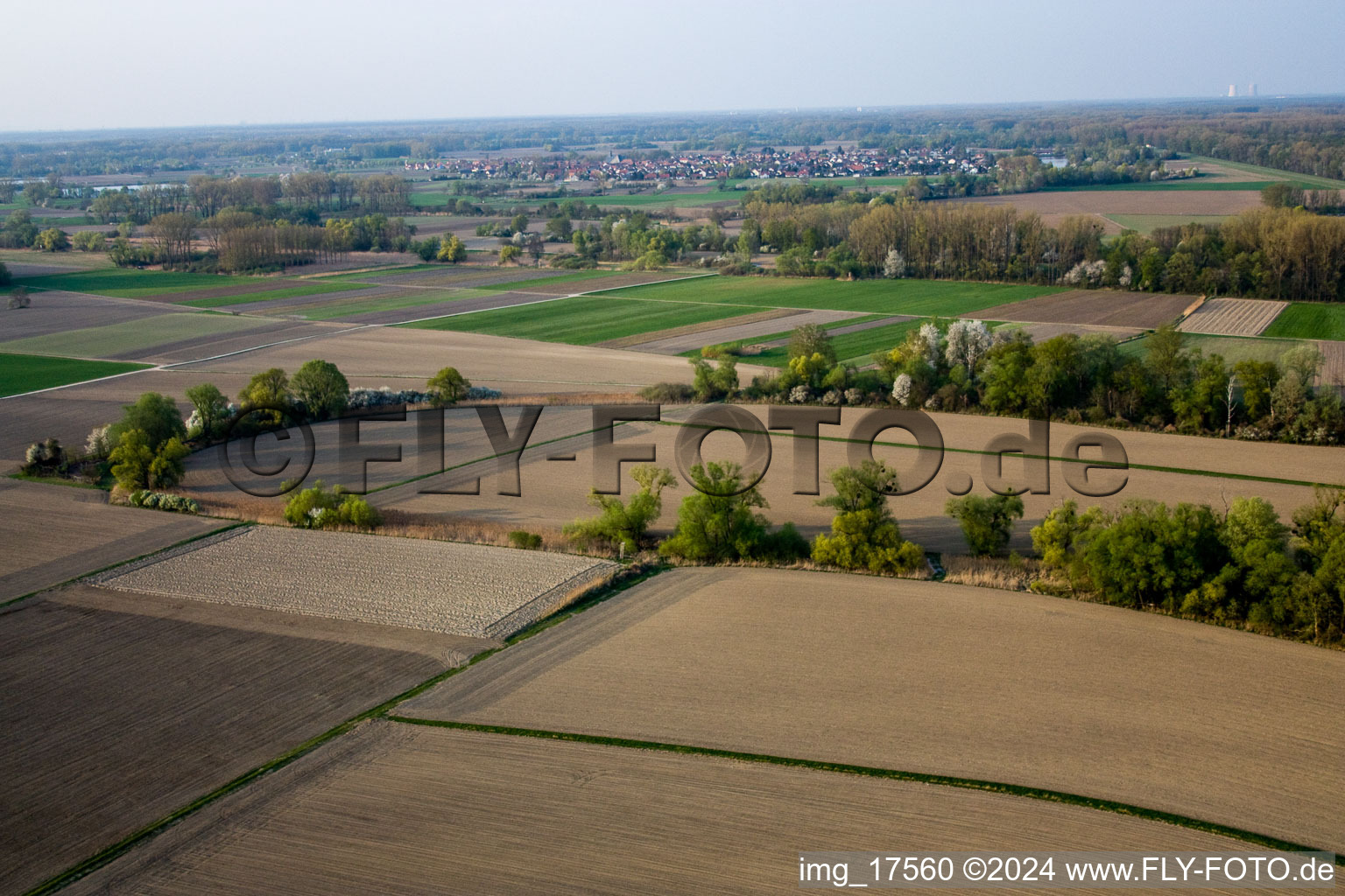 From the south in Leimersheim in the state Rhineland-Palatinate, Germany