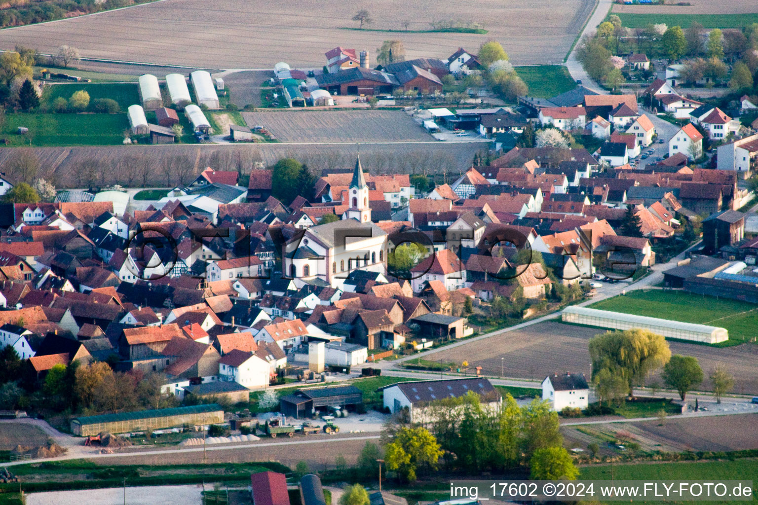 Aerial view of Neupotz in the state Rhineland-Palatinate, Germany