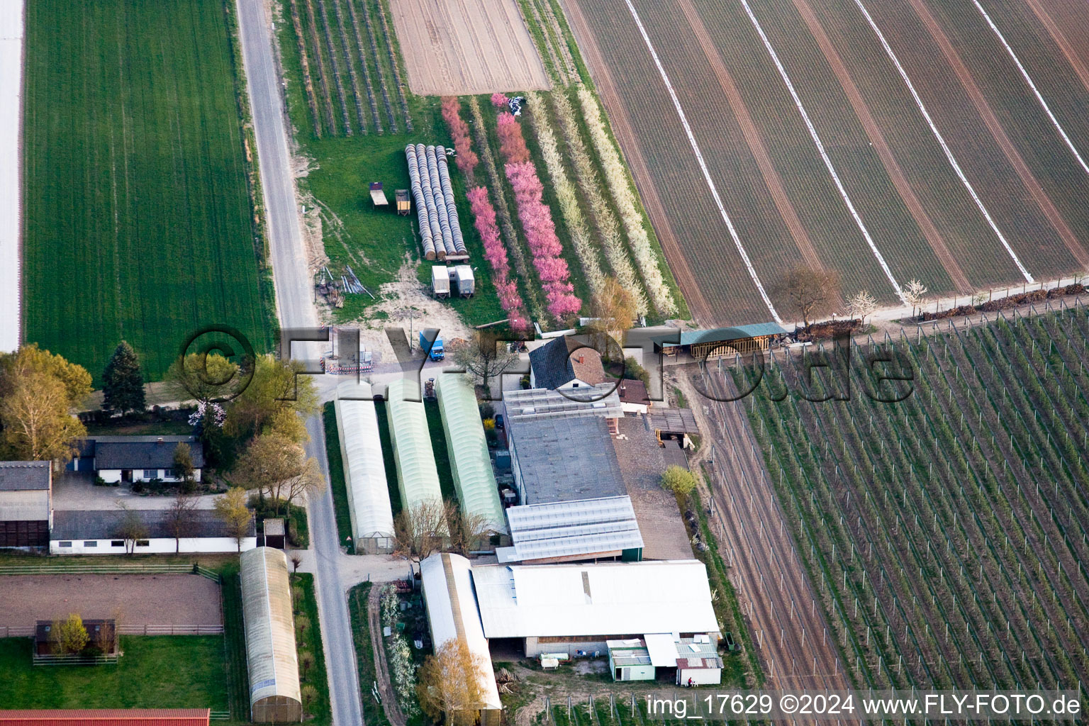 Bird's eye view of Zapf Fruit Farm in Kandel in the state Rhineland-Palatinate, Germany