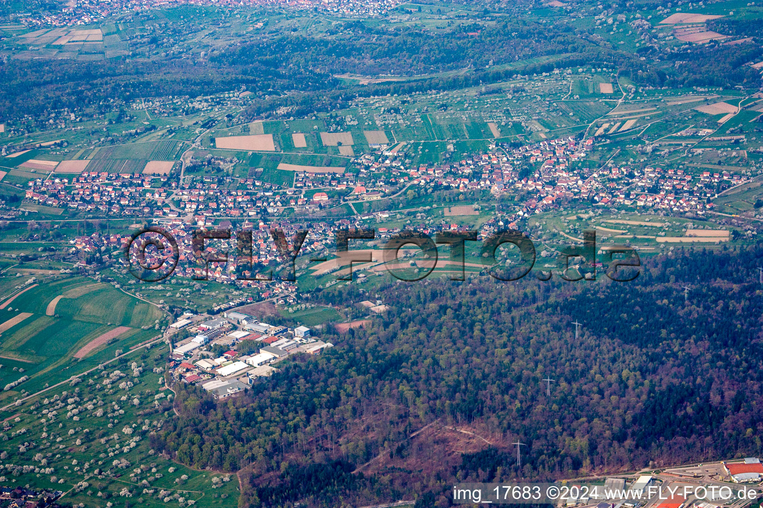 From the south in spring with flowering fruit trees in the district Gräfenhausen in Birkenfeld in the state Baden-Wuerttemberg, Germany