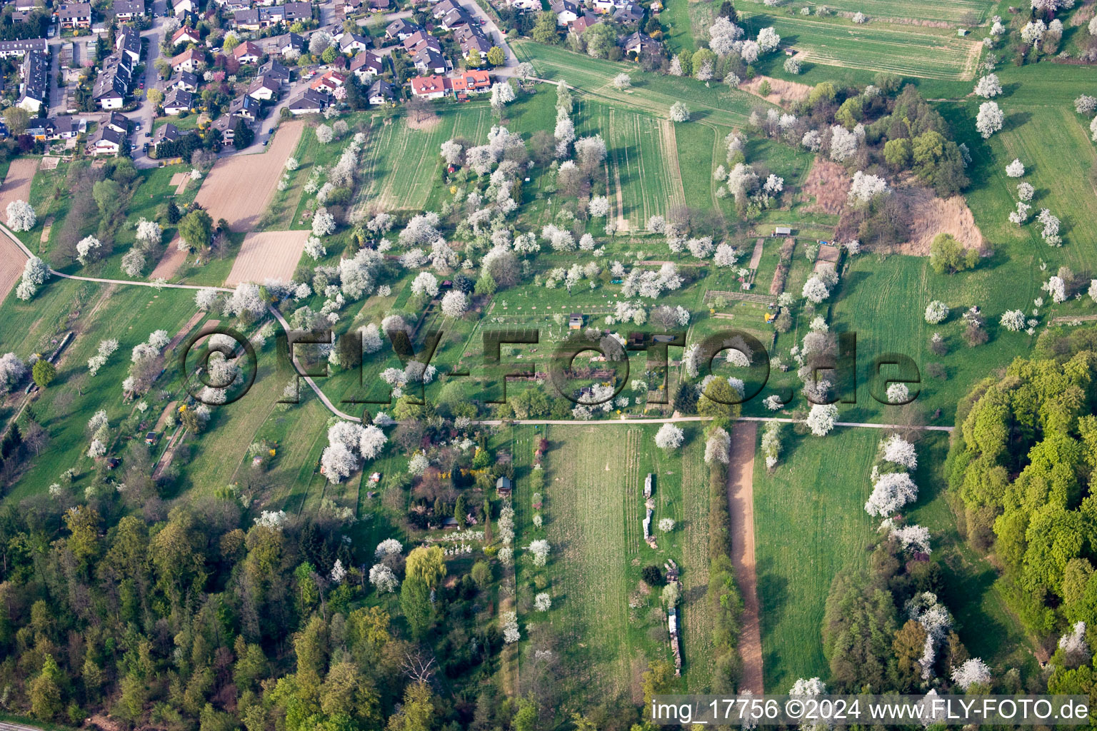 Parcel of a small garden in the district Oberweier in Gaggenau in the state Baden-Wurttemberg