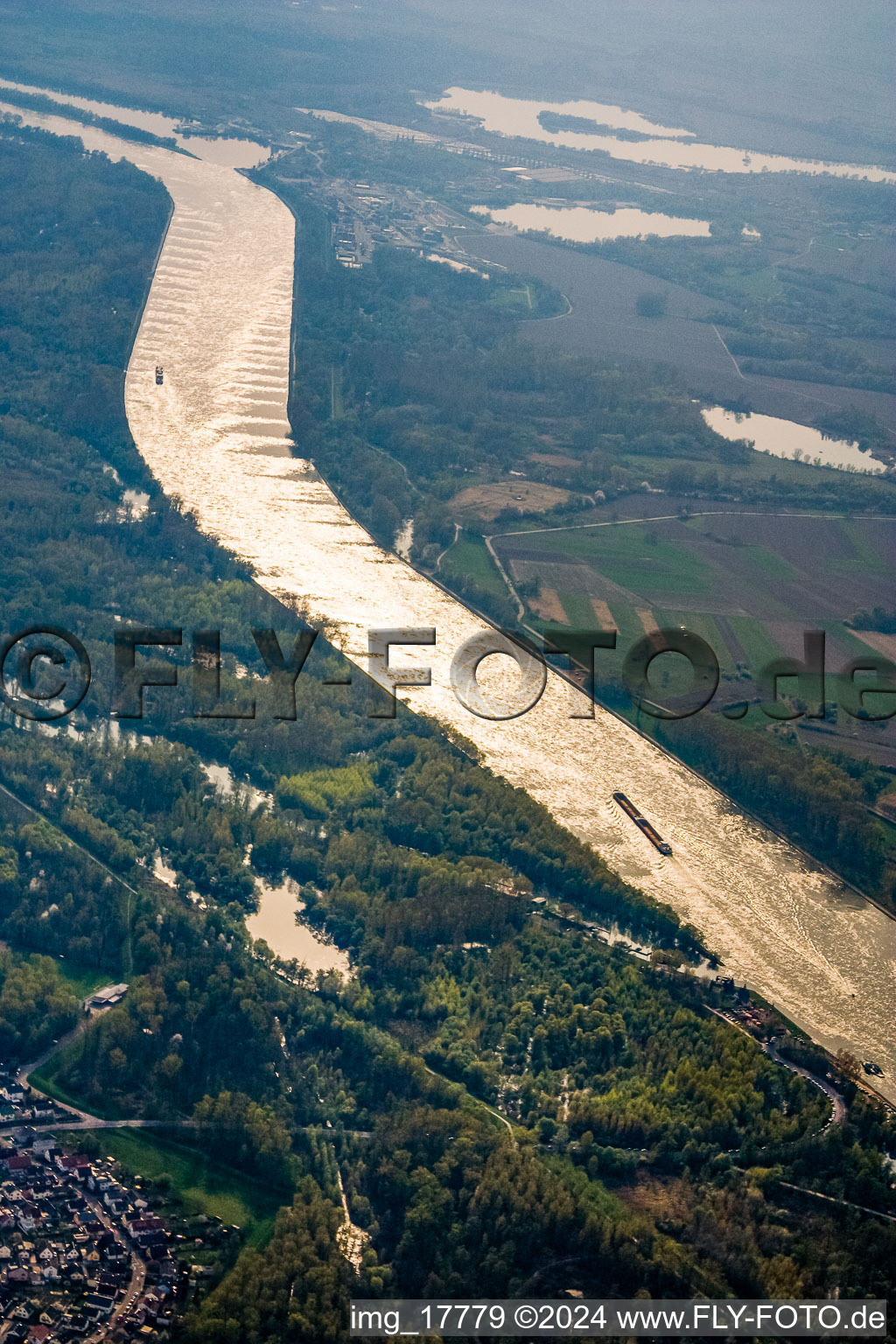 Mouth of the Auer Altrhein into the Rhine in Au am Rhein in the state Baden-Wuerttemberg, Germany