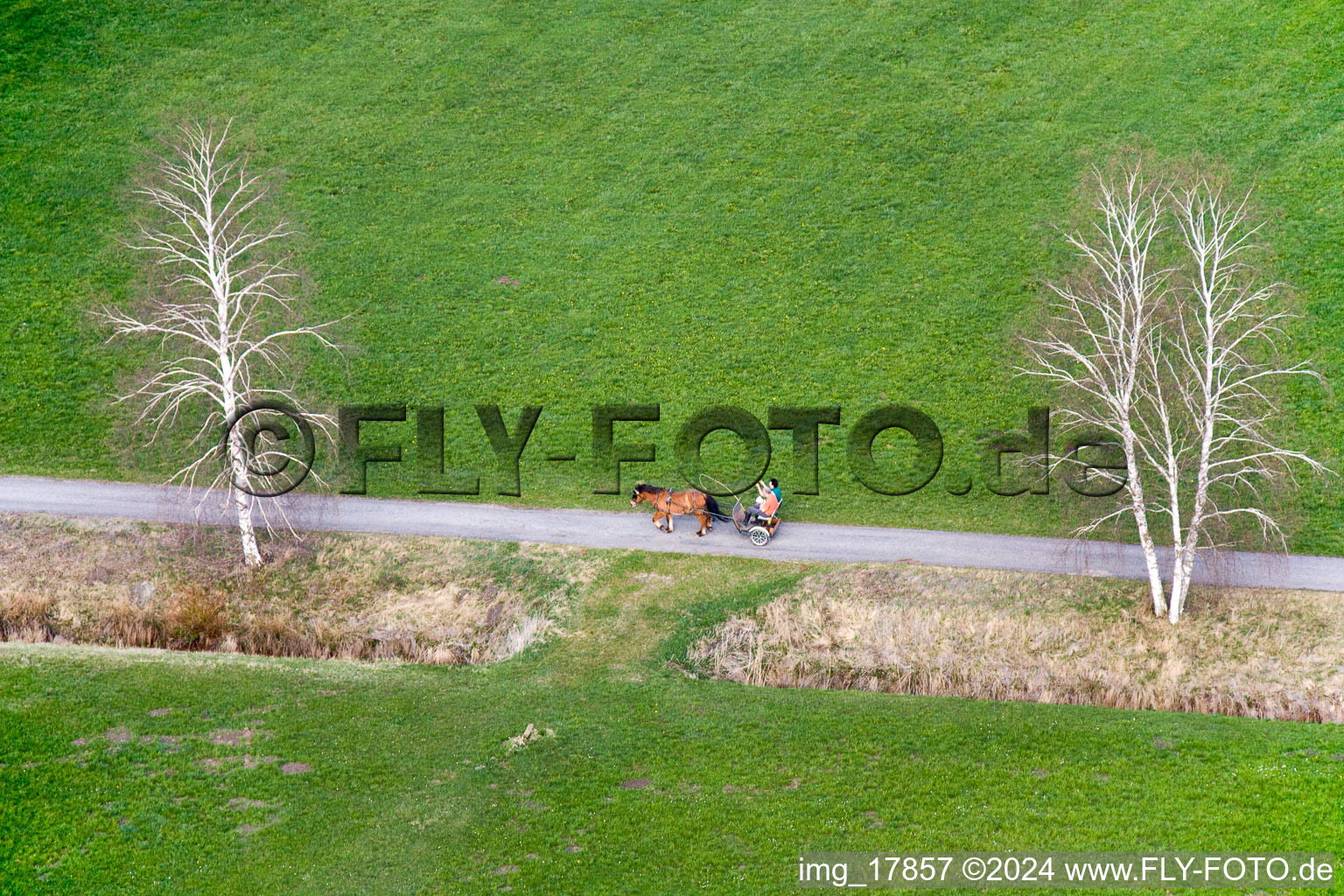 Horse vehicle in traffic along the Landstrasse in Raisting in the state Bavaria