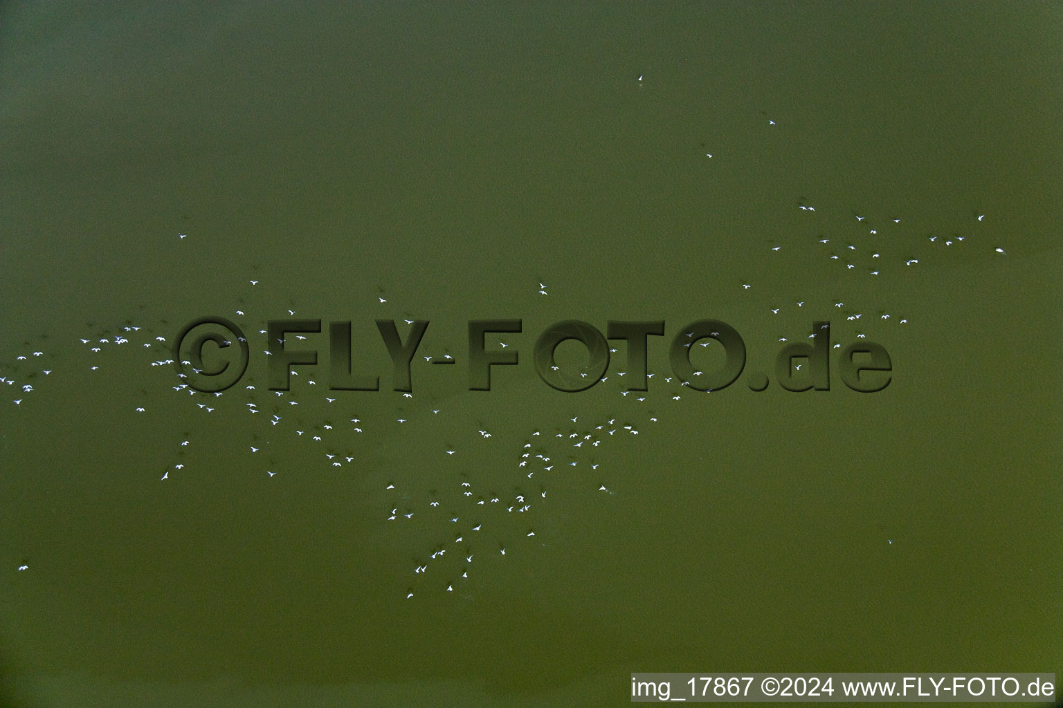 At Lake Ammersee in Fischen in the state Bavaria, Germany