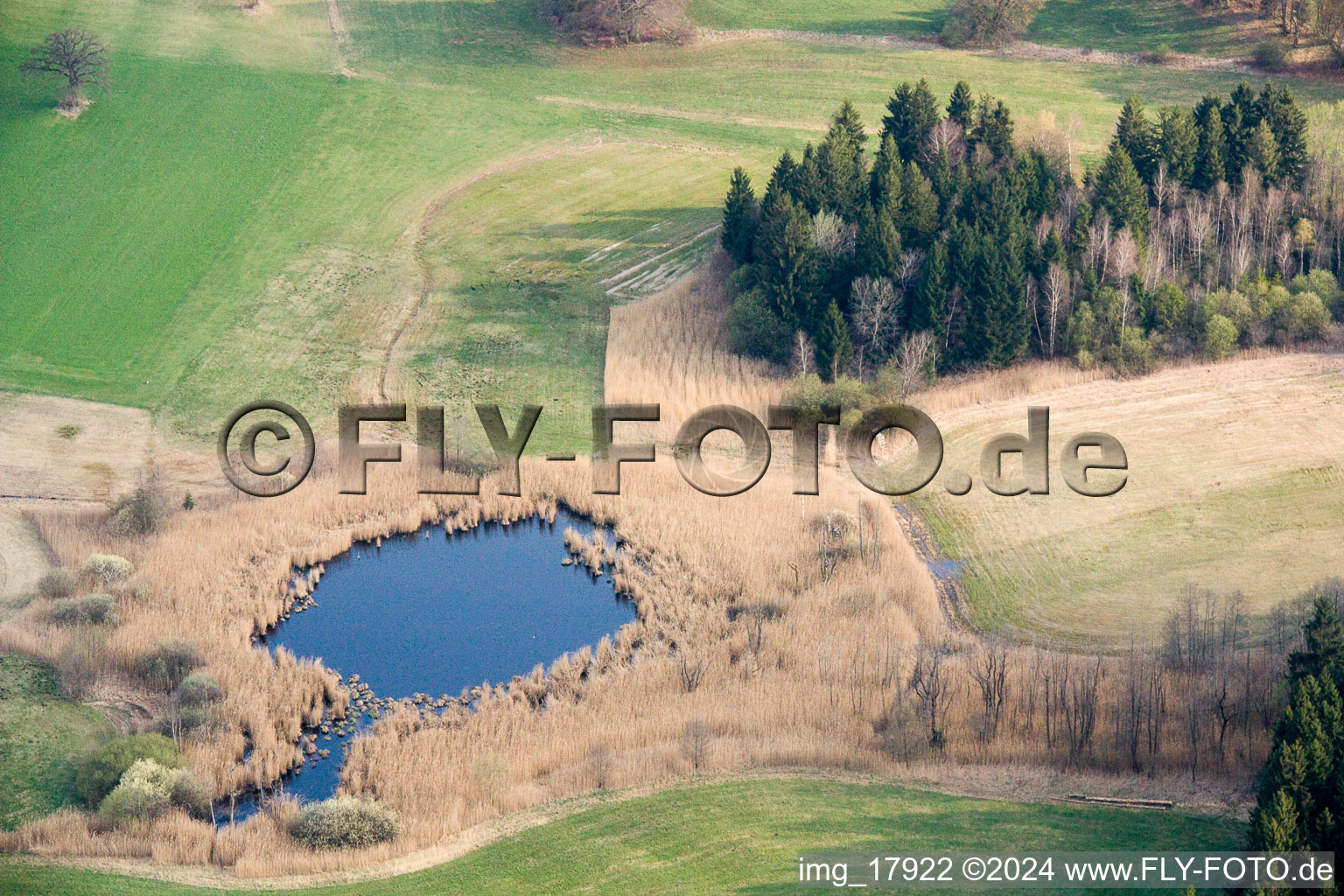 Pond in Andechs in the state Bavaria, Germany