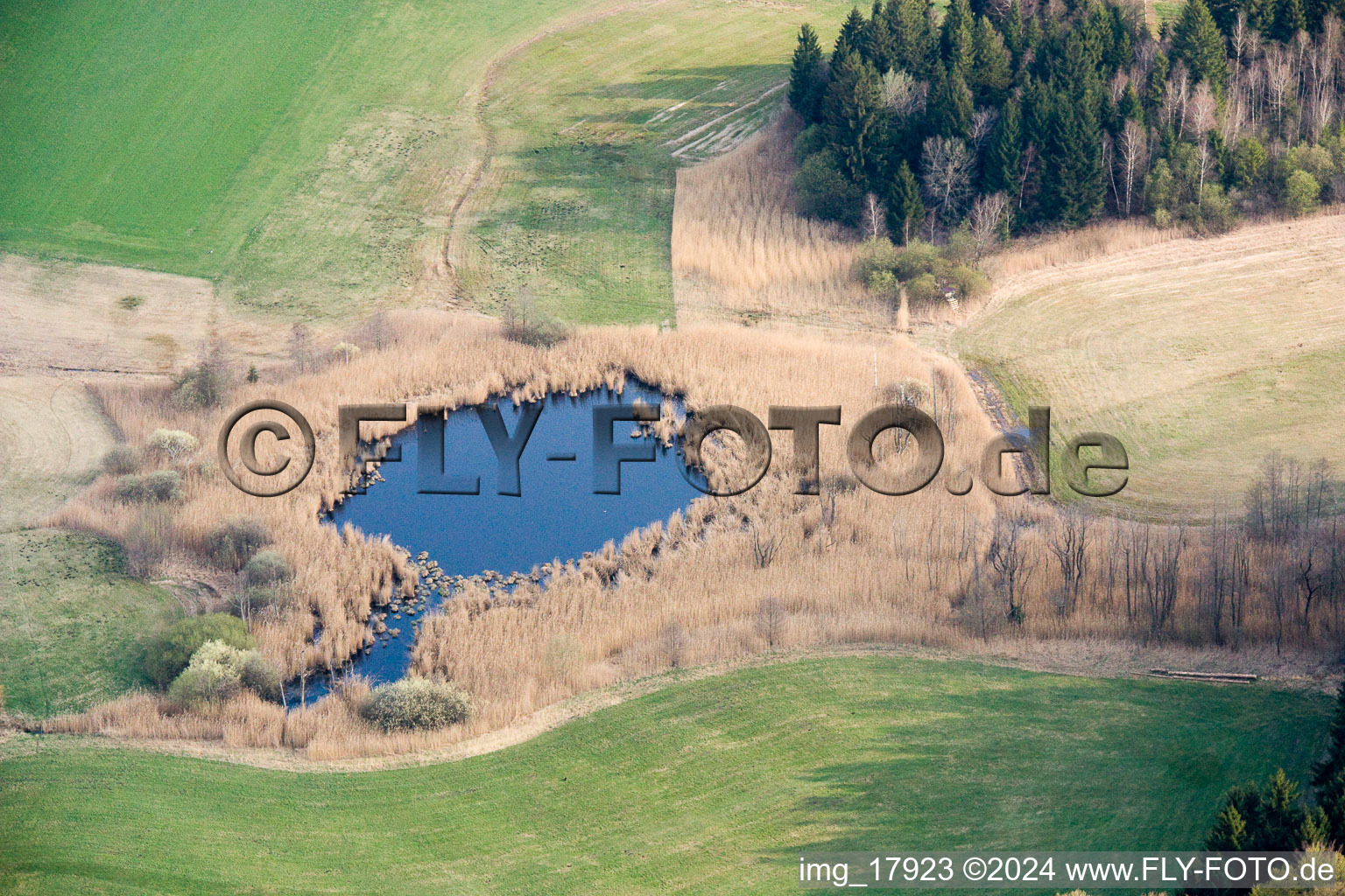 Shores of Lake Seacht'n in Andechs in the state Bavaria