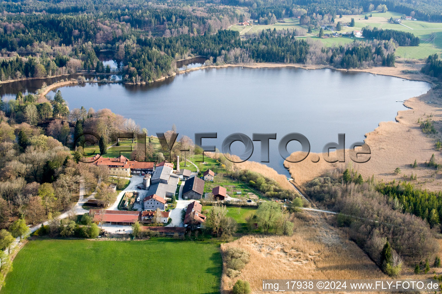 Riparian areas on the lake area of Deixelfurter Weiher in Tutzing in the state Bavaria, Germany