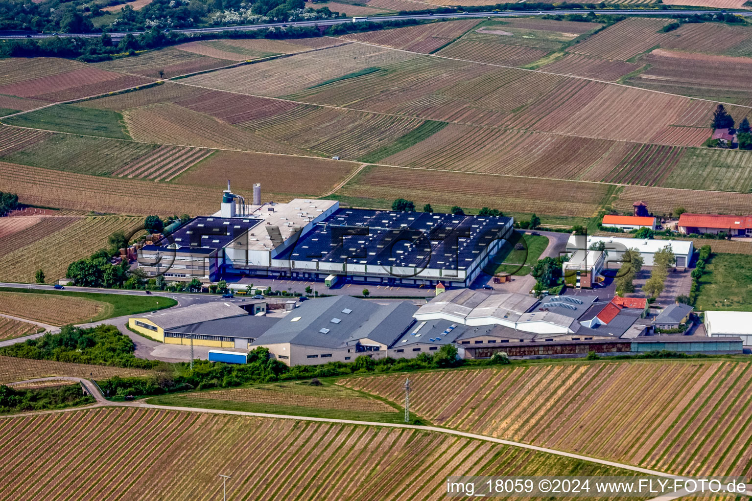 Aerial photograpy of Building and production halls on the premises of Wellpappenfabrik GmbH in the district Sausenheim in Gruenstadt in the state Rhineland-Palatinate, Germany