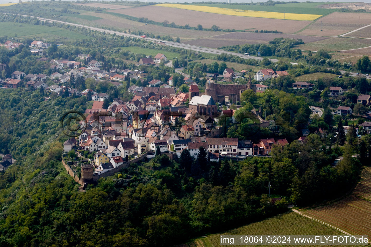 Castle of the fortress Neuleiningen in Neuleiningen in the state Rhineland-Palatinate