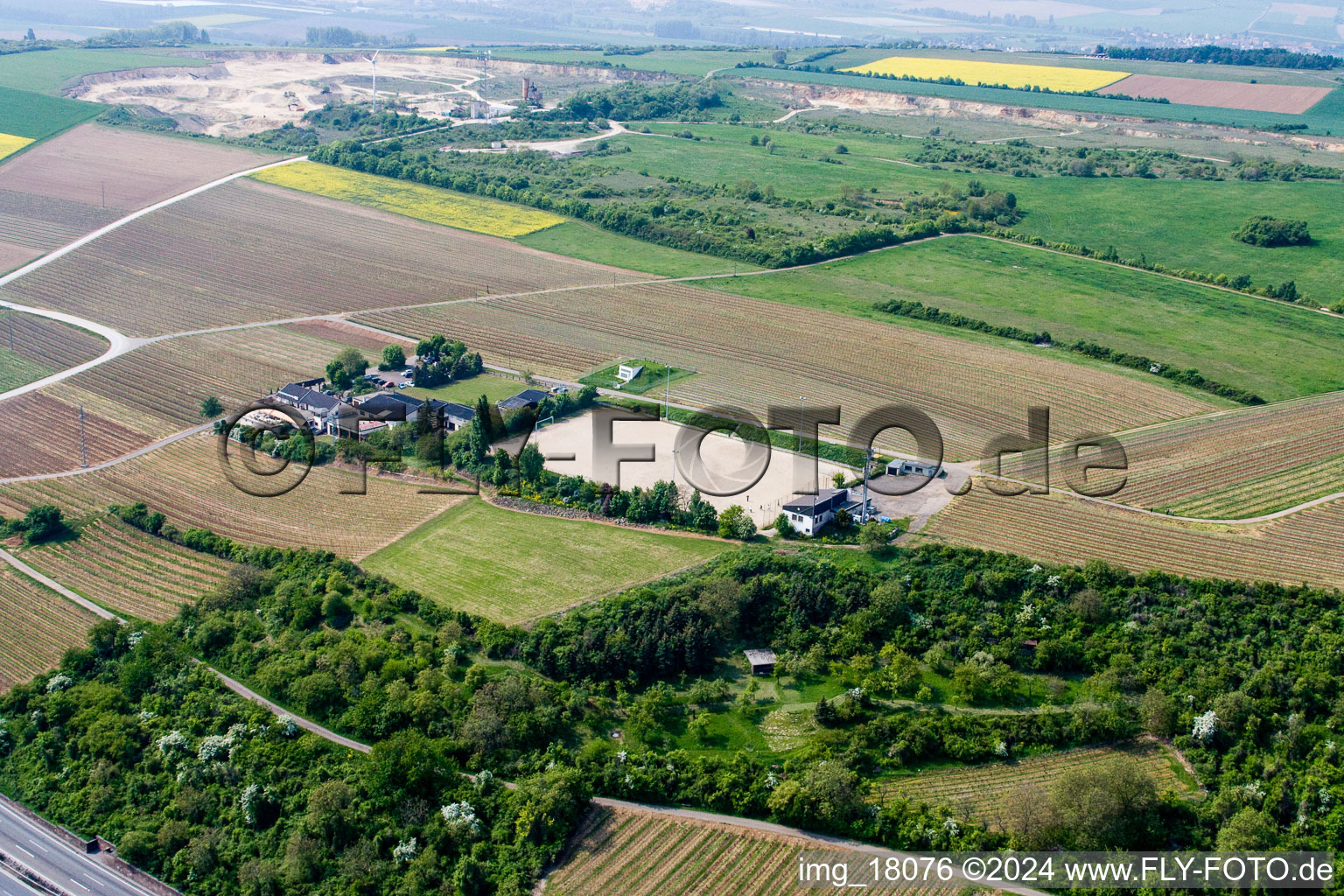 Weingut Haus Sonnenberg in Neuleiningen in the state Rhineland-Palatinate, Germany