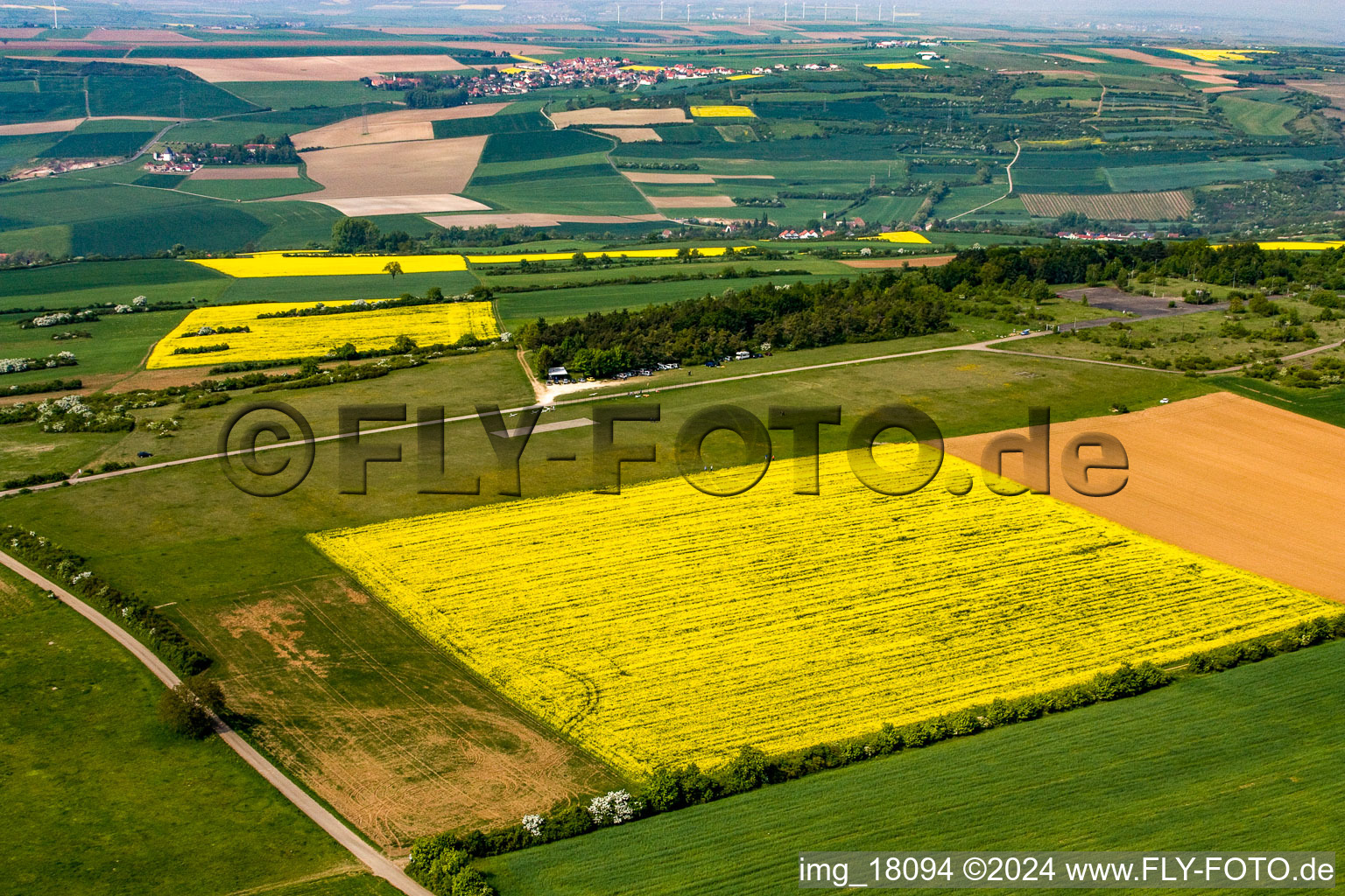 Tiefenthal model airfield in the district Sausenheim in Grünstadt in the state Rhineland-Palatinate, Germany