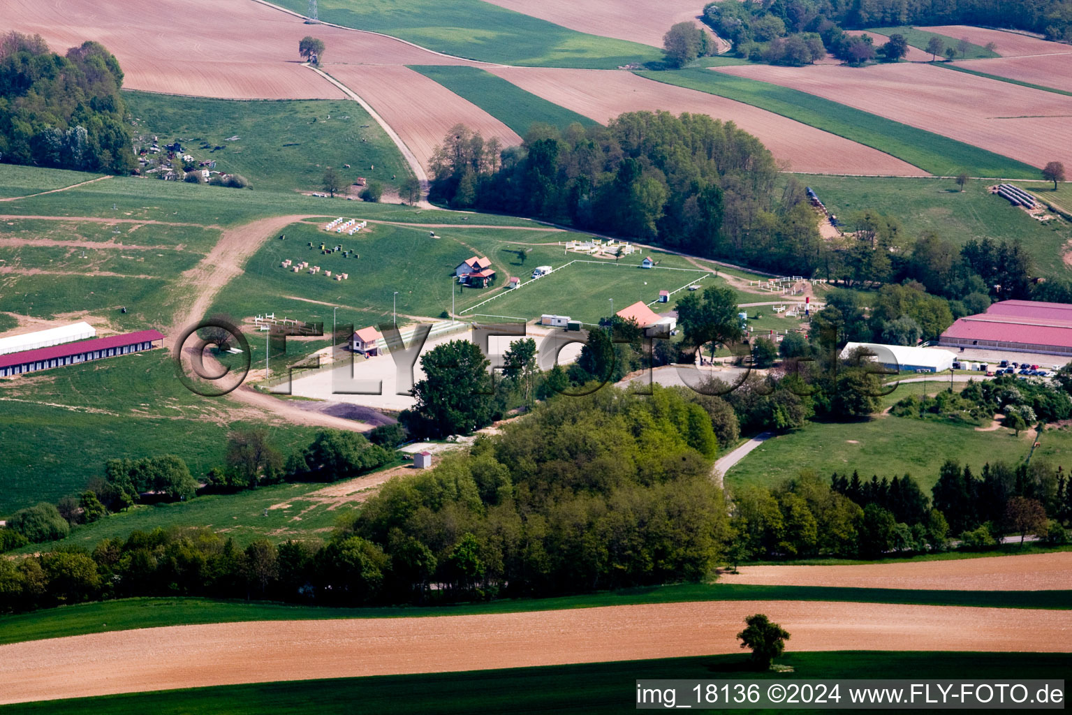 Haras al Née in Neewiller-près-Lauterbourg in the state Bas-Rhin, France