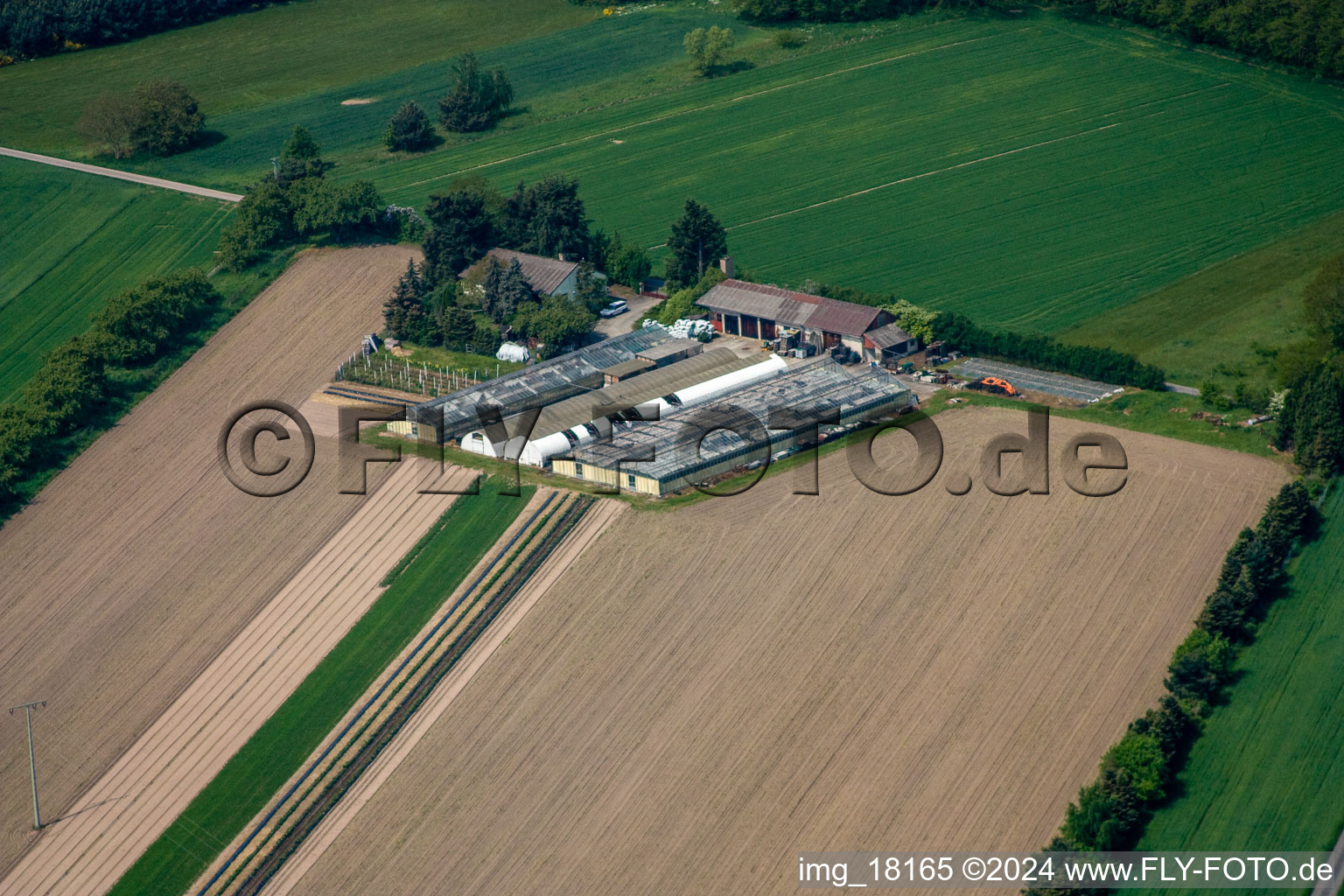 Aerial view of Bösherz Hof in the district Neulauterburg in Berg in the state Rhineland-Palatinate, Germany