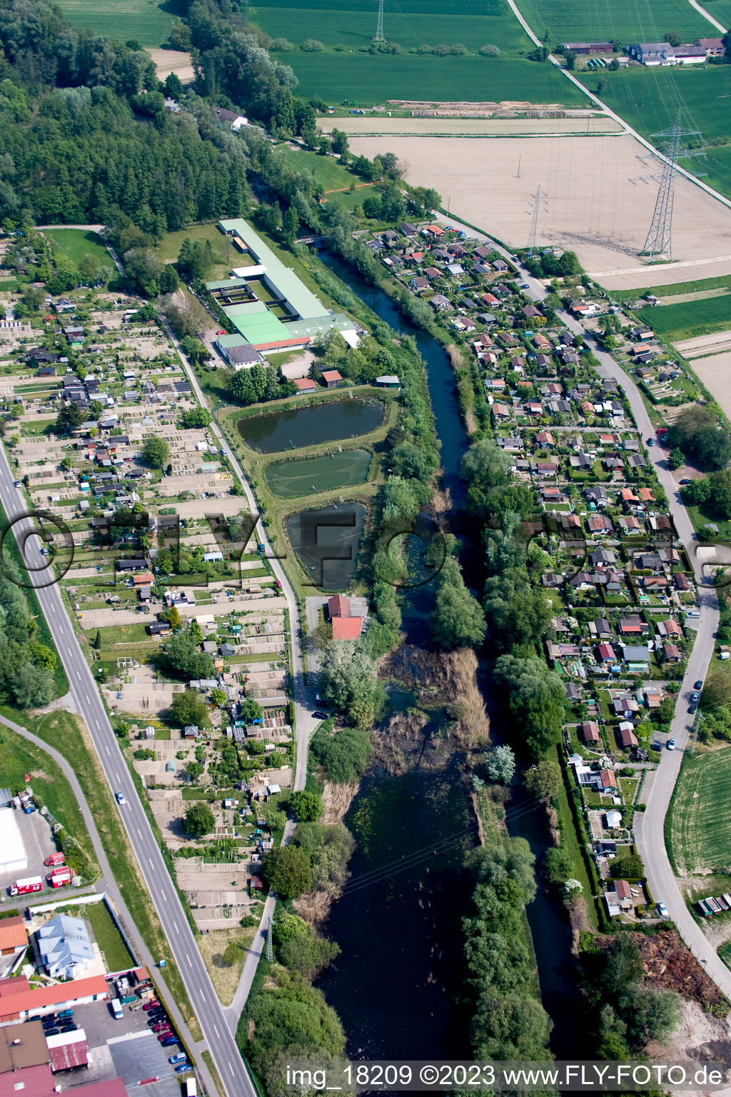 Allotment garden area in Wörth am Rhein in the state Rhineland-Palatinate, Germany