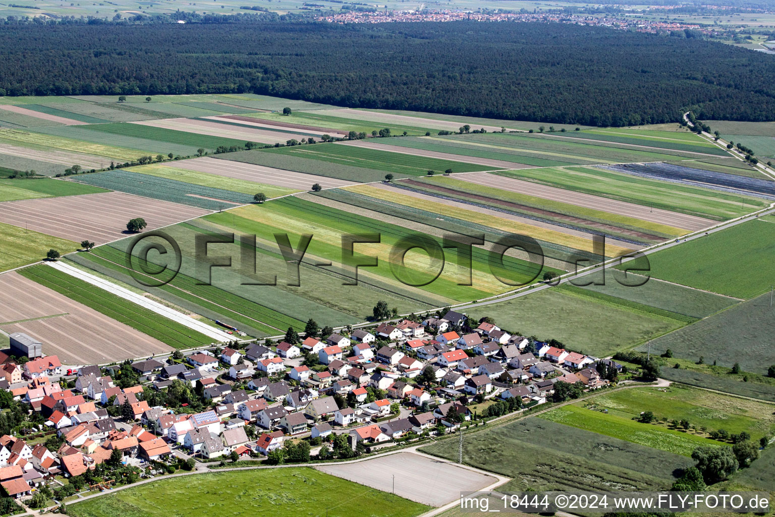 Oblique view of Hatzenbühl in the state Rhineland-Palatinate, Germany