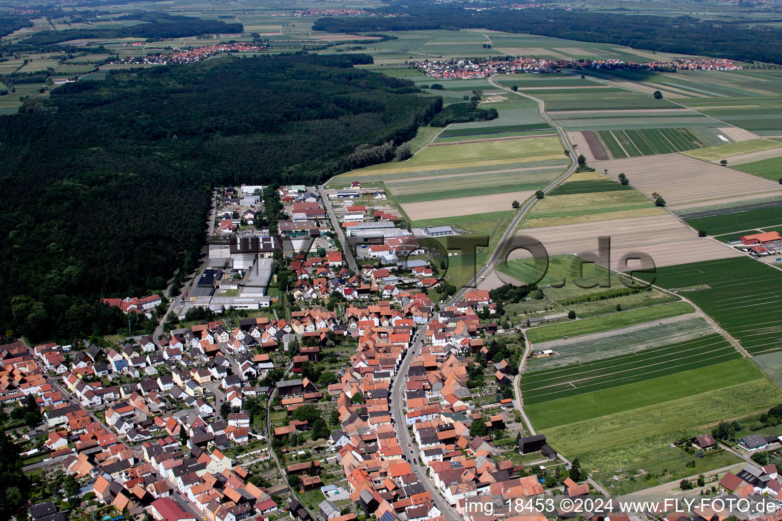 Hatzenbühl in the state Rhineland-Palatinate, Germany from the drone perspective