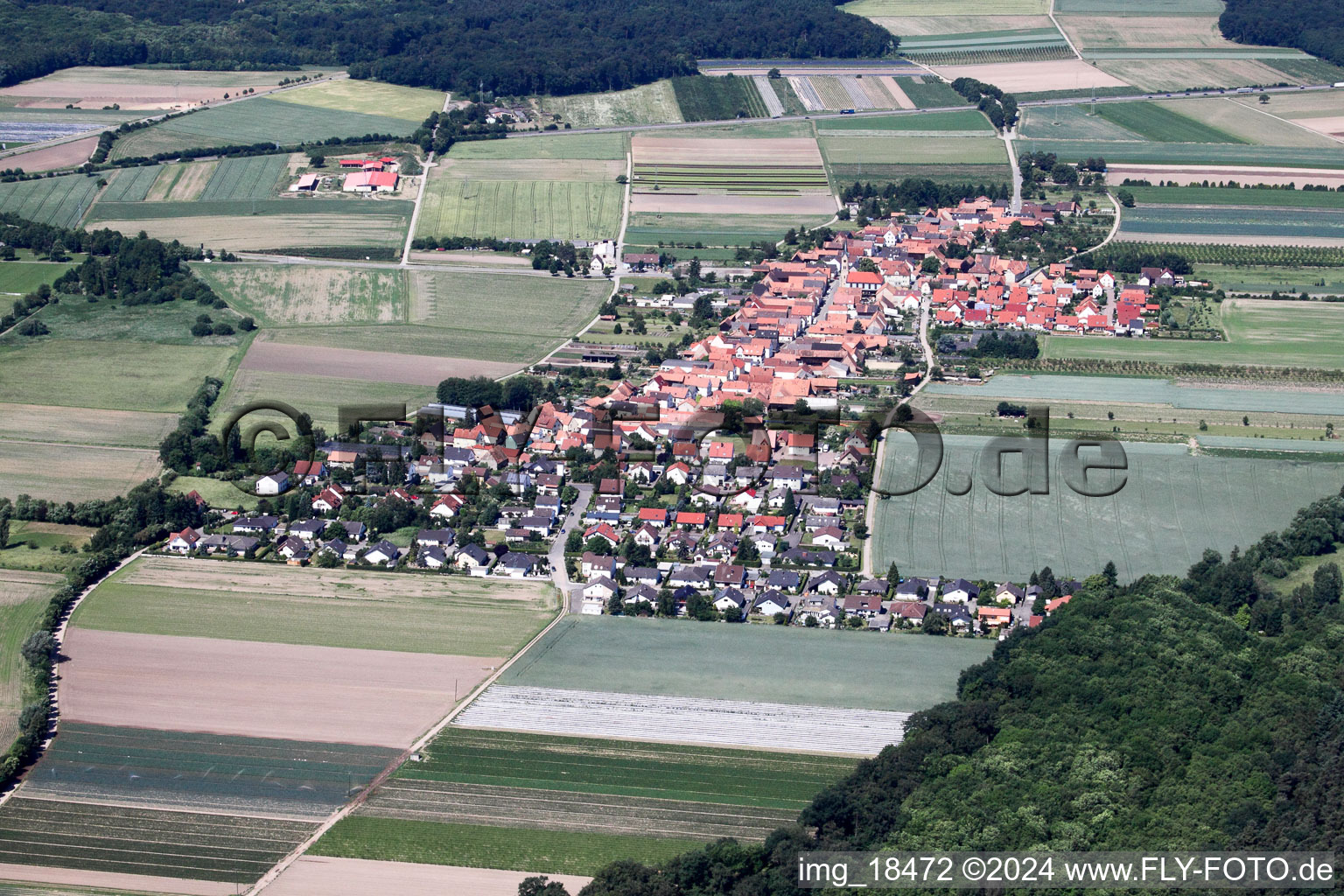 Aerial view of From the east in Erlenbach bei Kandel in the state Rhineland-Palatinate, Germany