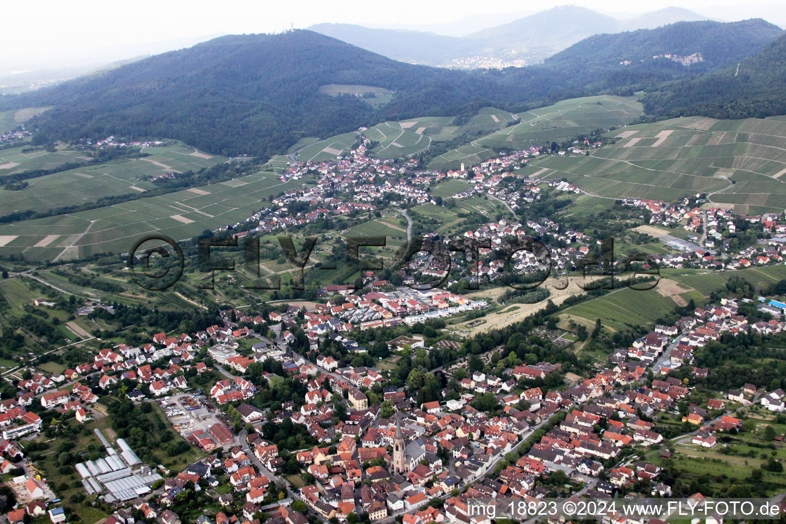 District Steinbach in Baden-Baden in the state Baden-Wuerttemberg, Germany from above