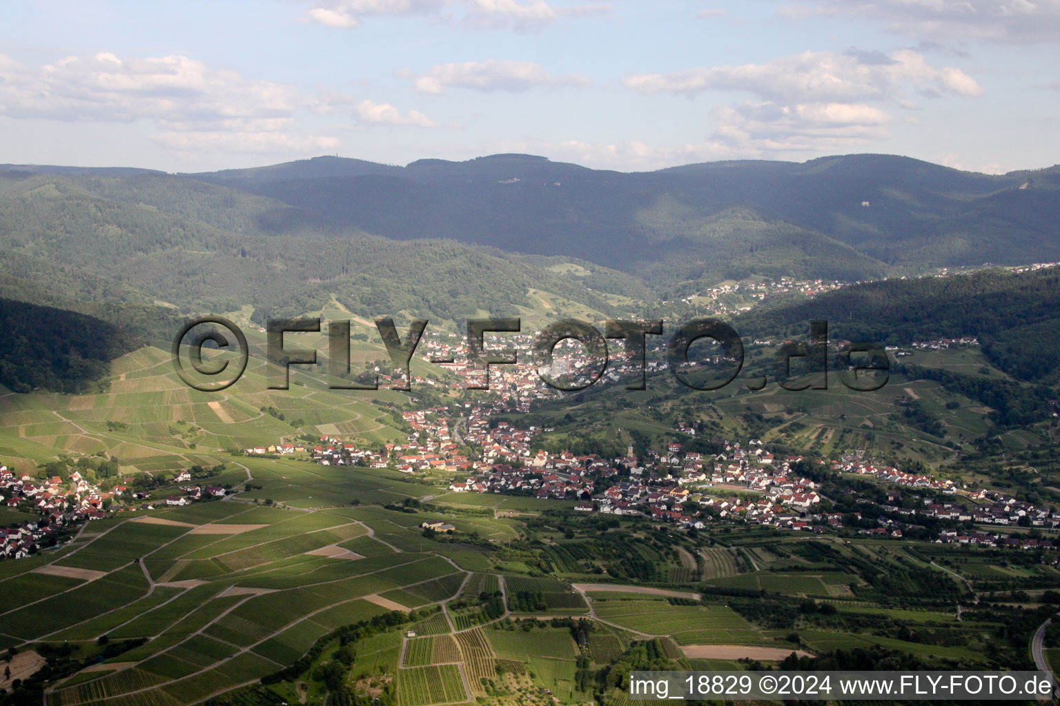 Bühlertal in the state Baden-Wuerttemberg, Germany from above