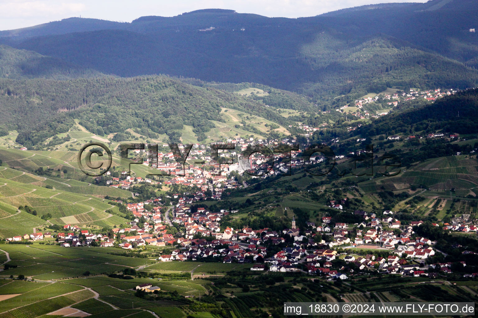 Black Forest town view of the streets and houses of the residential areas in the district Untertal in Bühlertal in the state Baden-Wuerttemberg, Germany