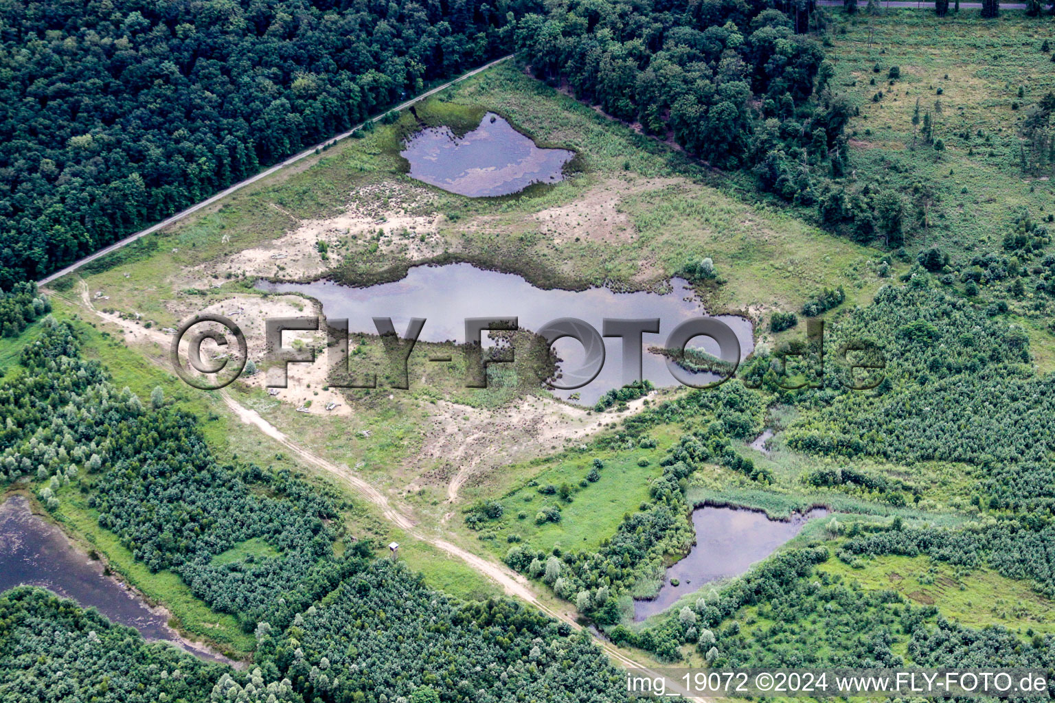 Bank areas of a flooded former dismantling of opencast mining and renaturierungs-lake in Foret de Haguenau in Grand Est, France