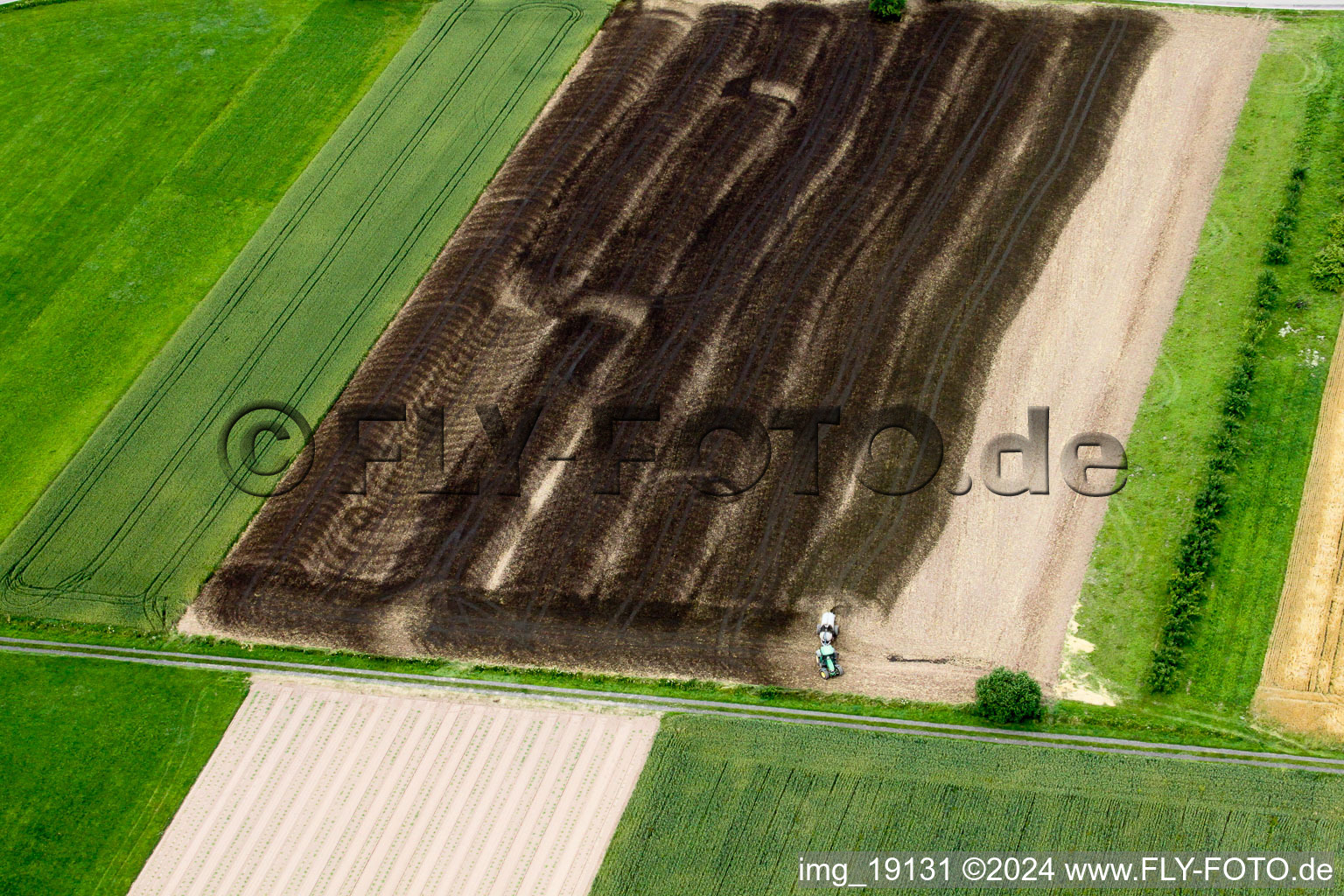 Aerial view of Tractor spraying manure on agricultural fields in Achern in the state Baden-Wurttemberg