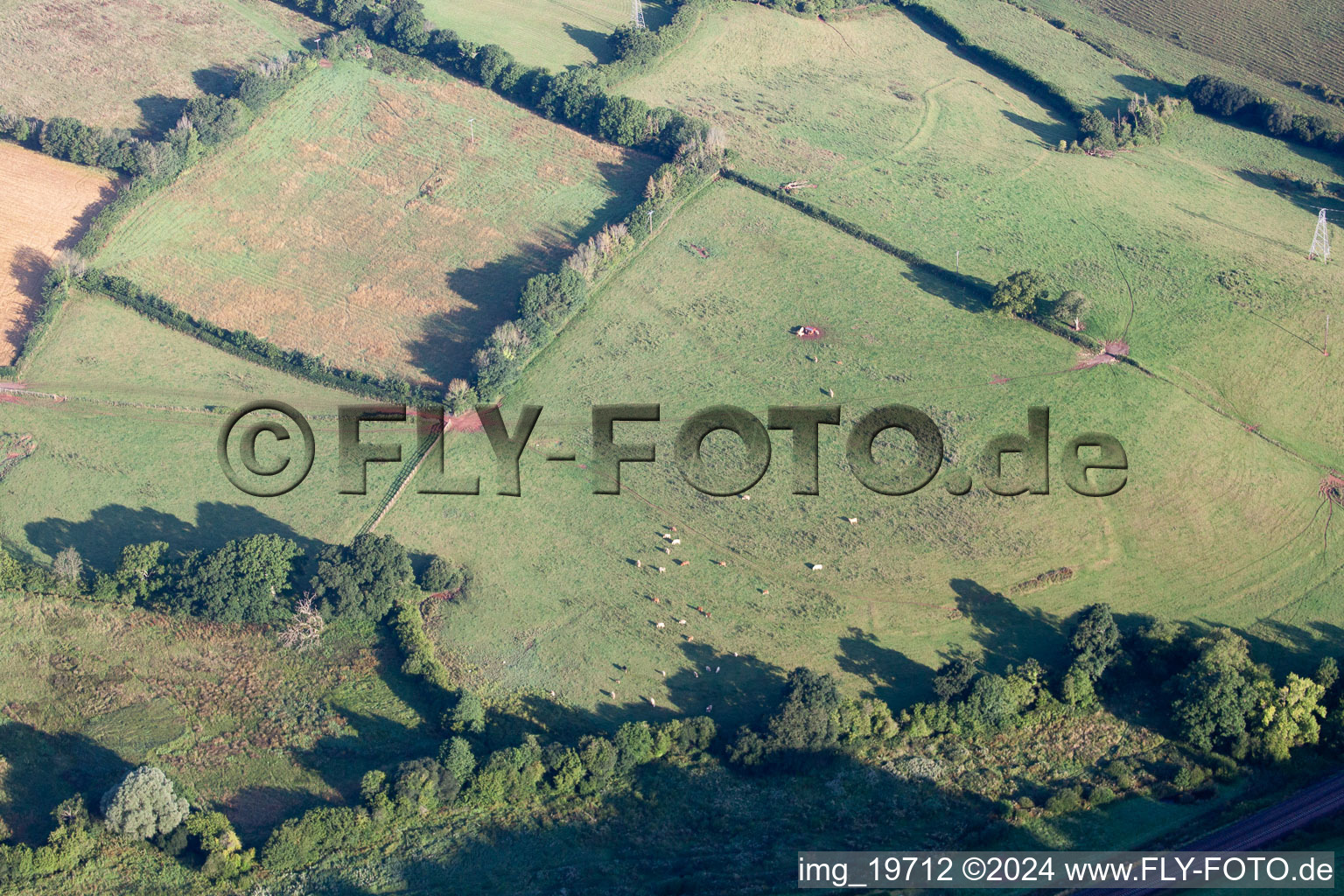 Oblique view of Kingskerswell in the state England, Great Britain