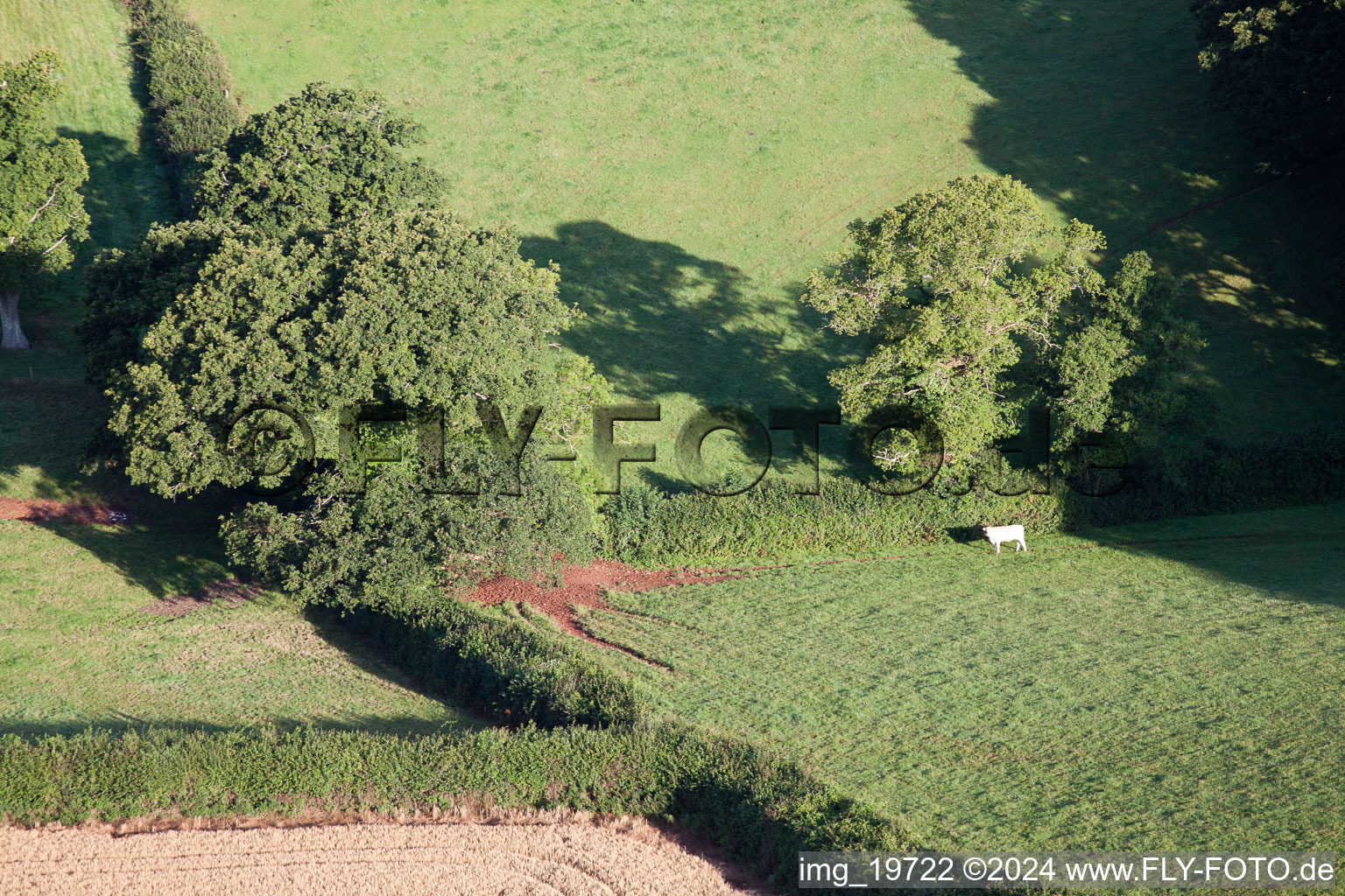 Drone recording of Abbotskerswell in the state England, Great Britain