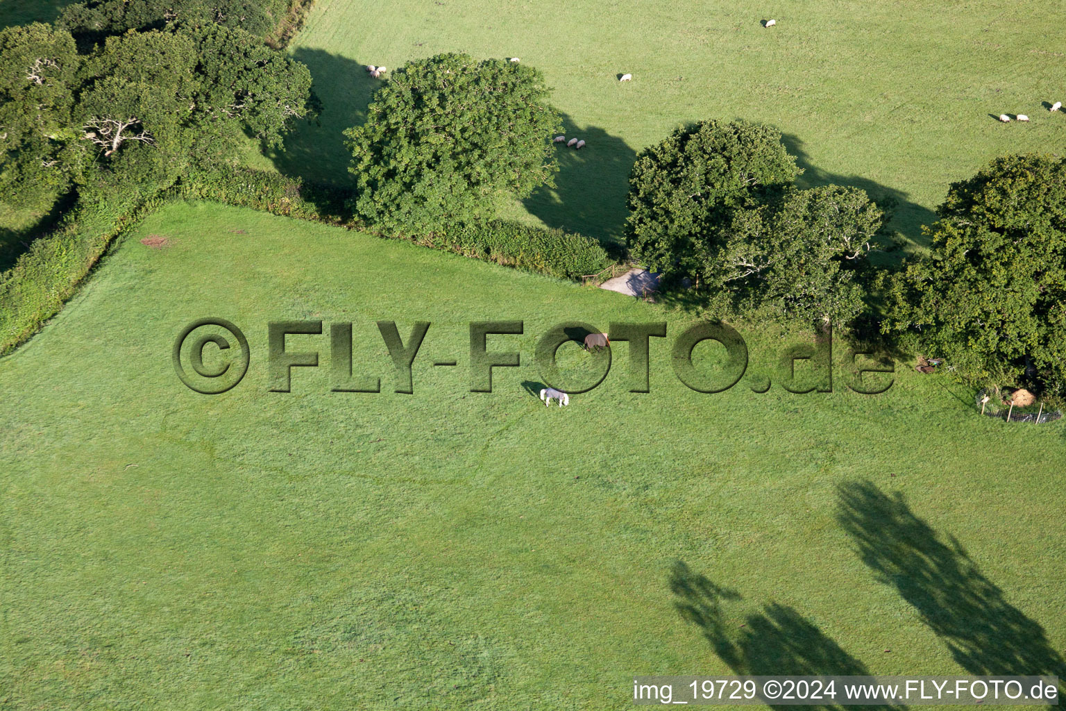 Abbotskerswell in the state England, Great Britain seen from a drone