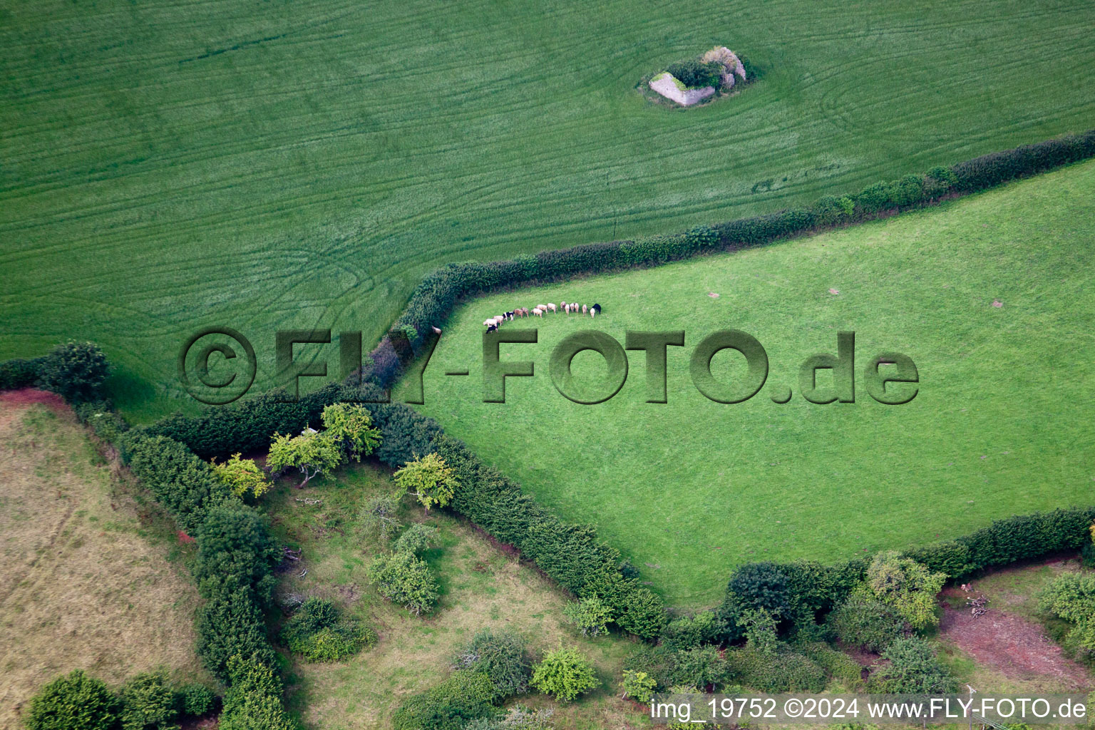 Ipplepen in the state England, Great Britain viewn from the air