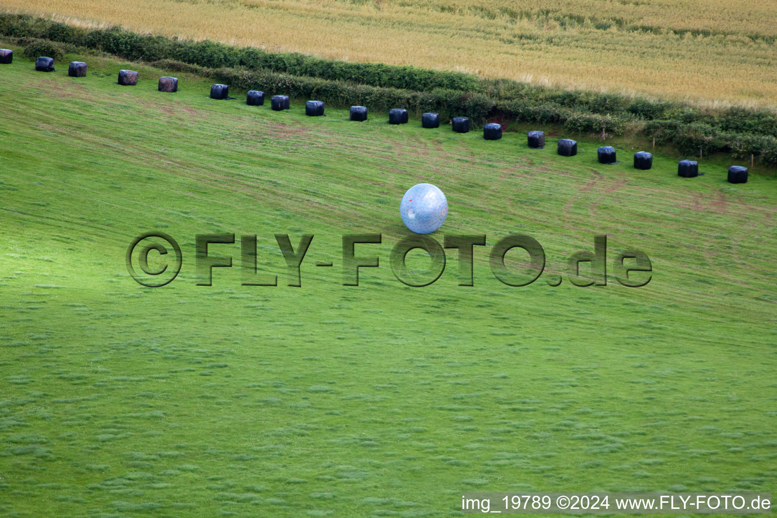 Marldon in the state England, Great Britain from above